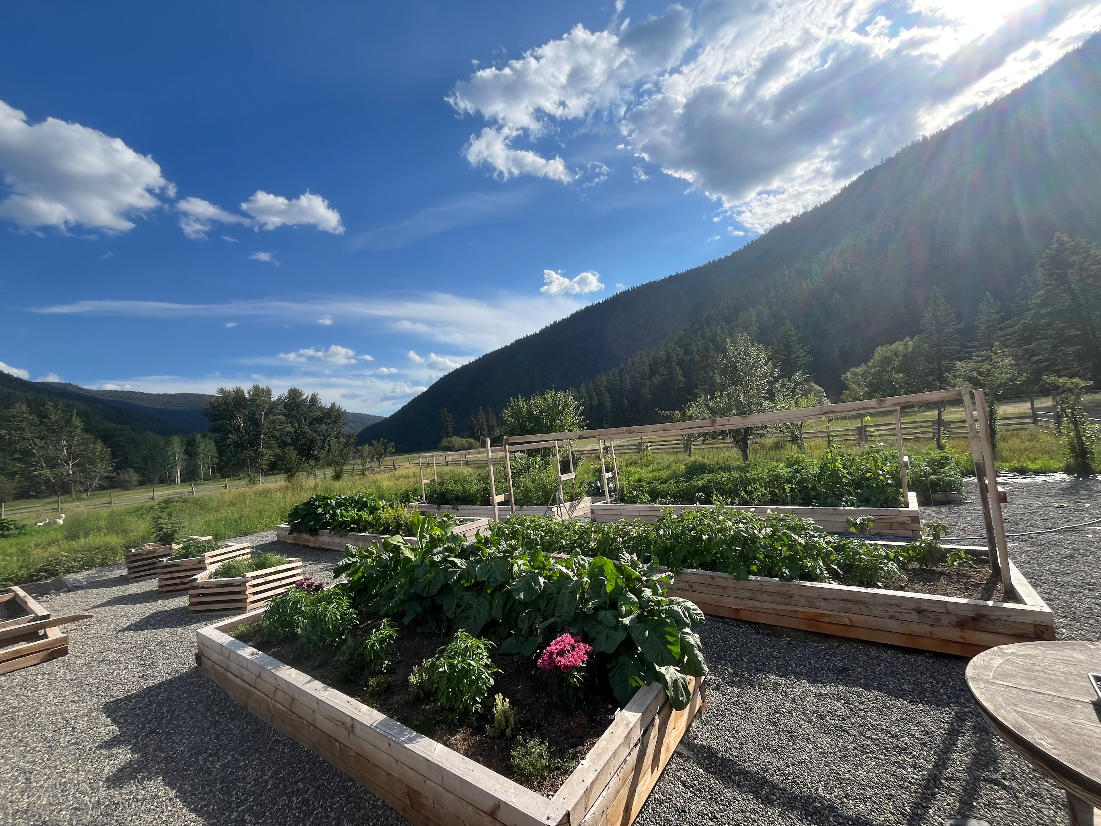 Deadman Acres - Rural Farm