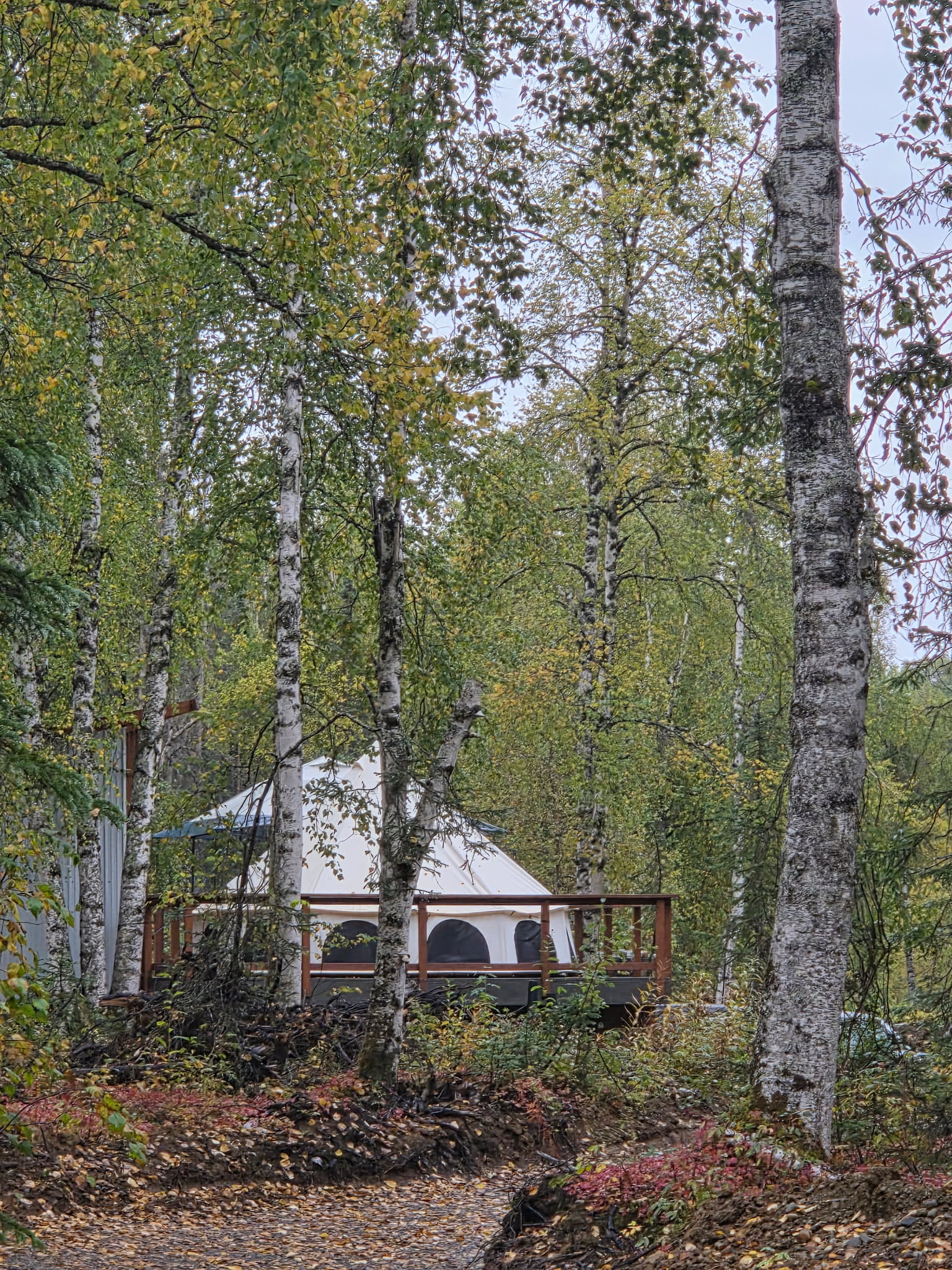 Glamping in The Tress