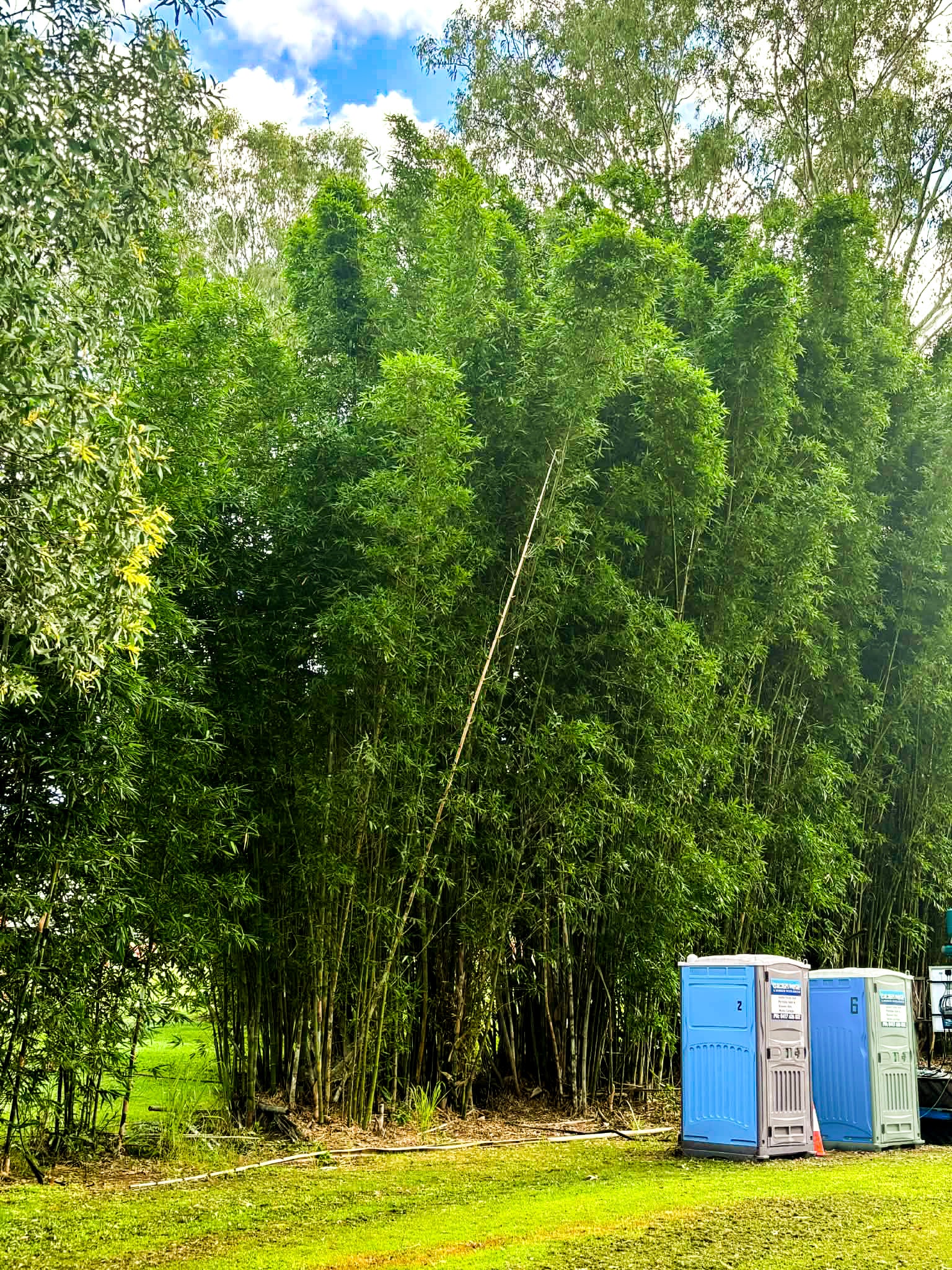 Apple Tree Creek Pub Camping