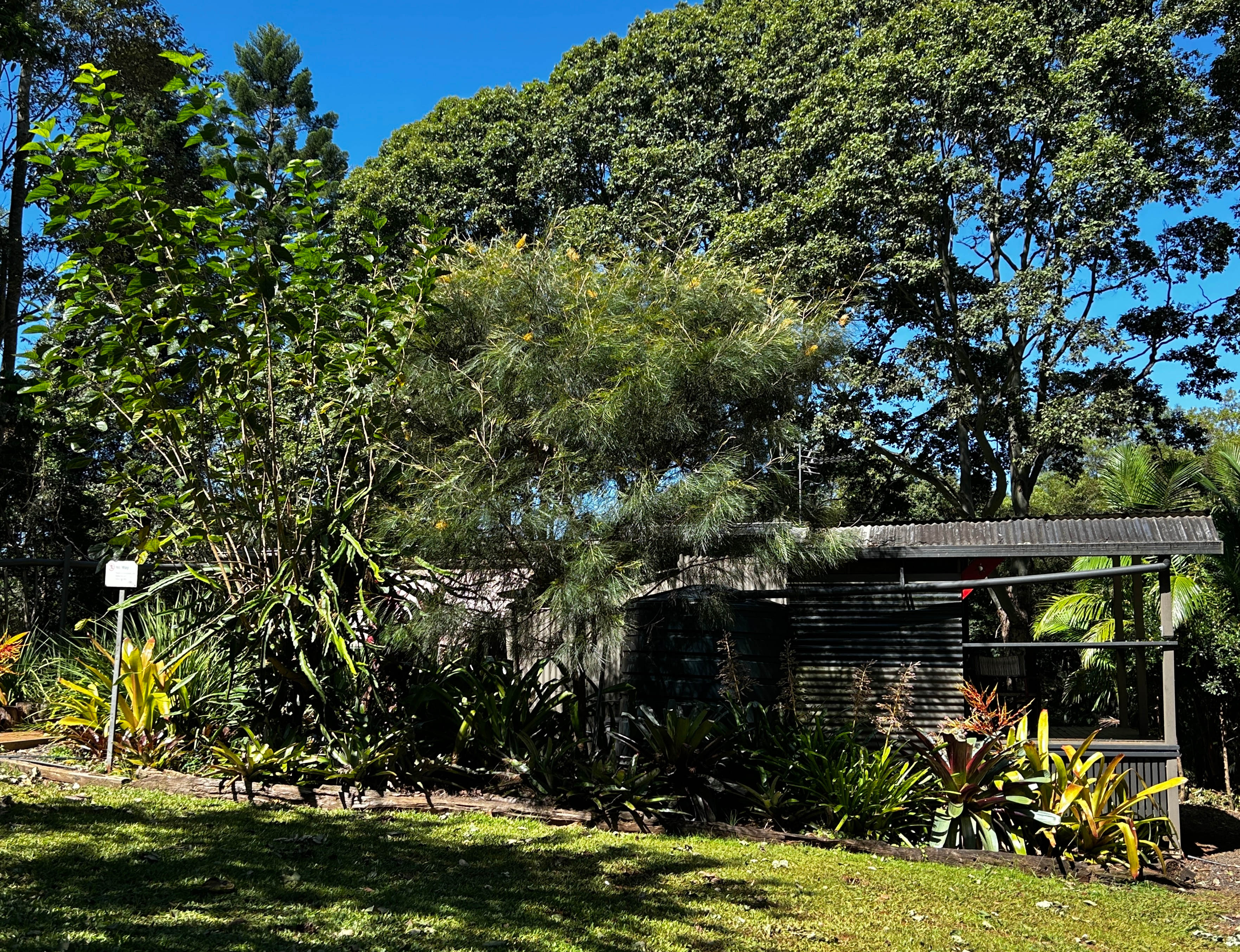 What you’ll see as you drive toward “Glen’s Cabin”