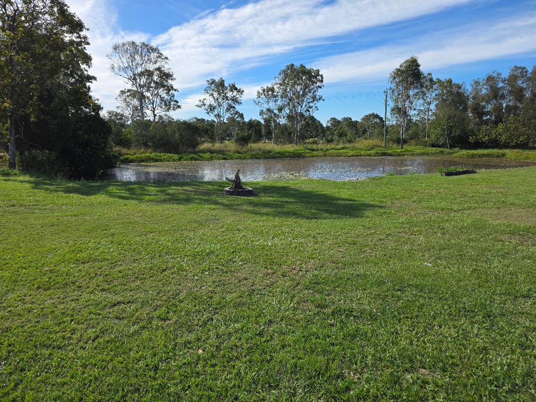 The Back Paddock