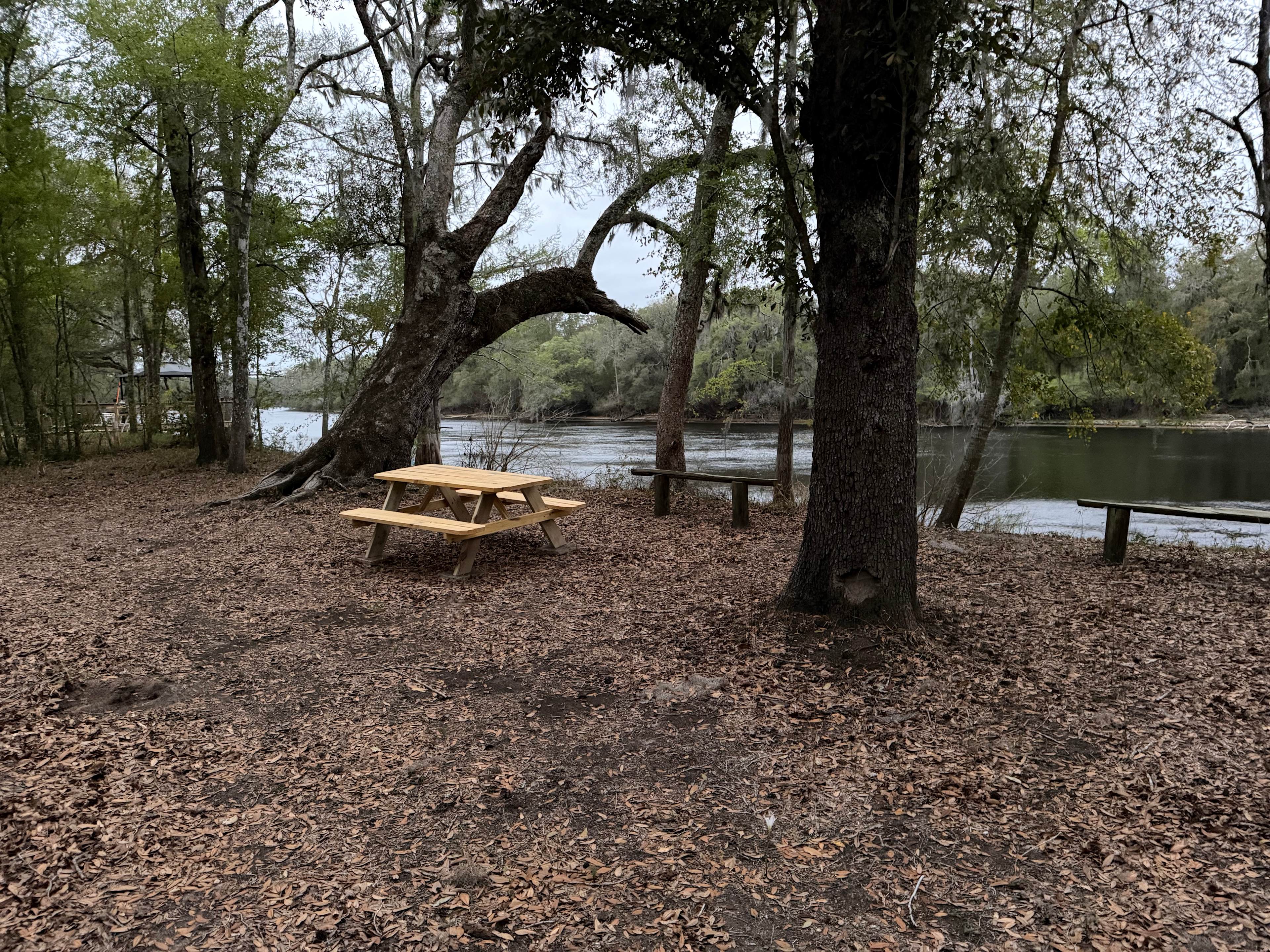 Suwannee Beach Resort
