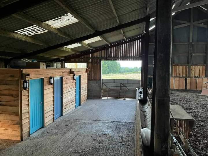 Maes Heddwch/Peaceful Field