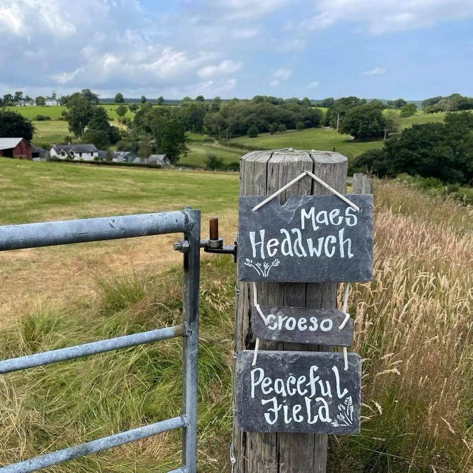 Maes Heddwch/Peaceful Field