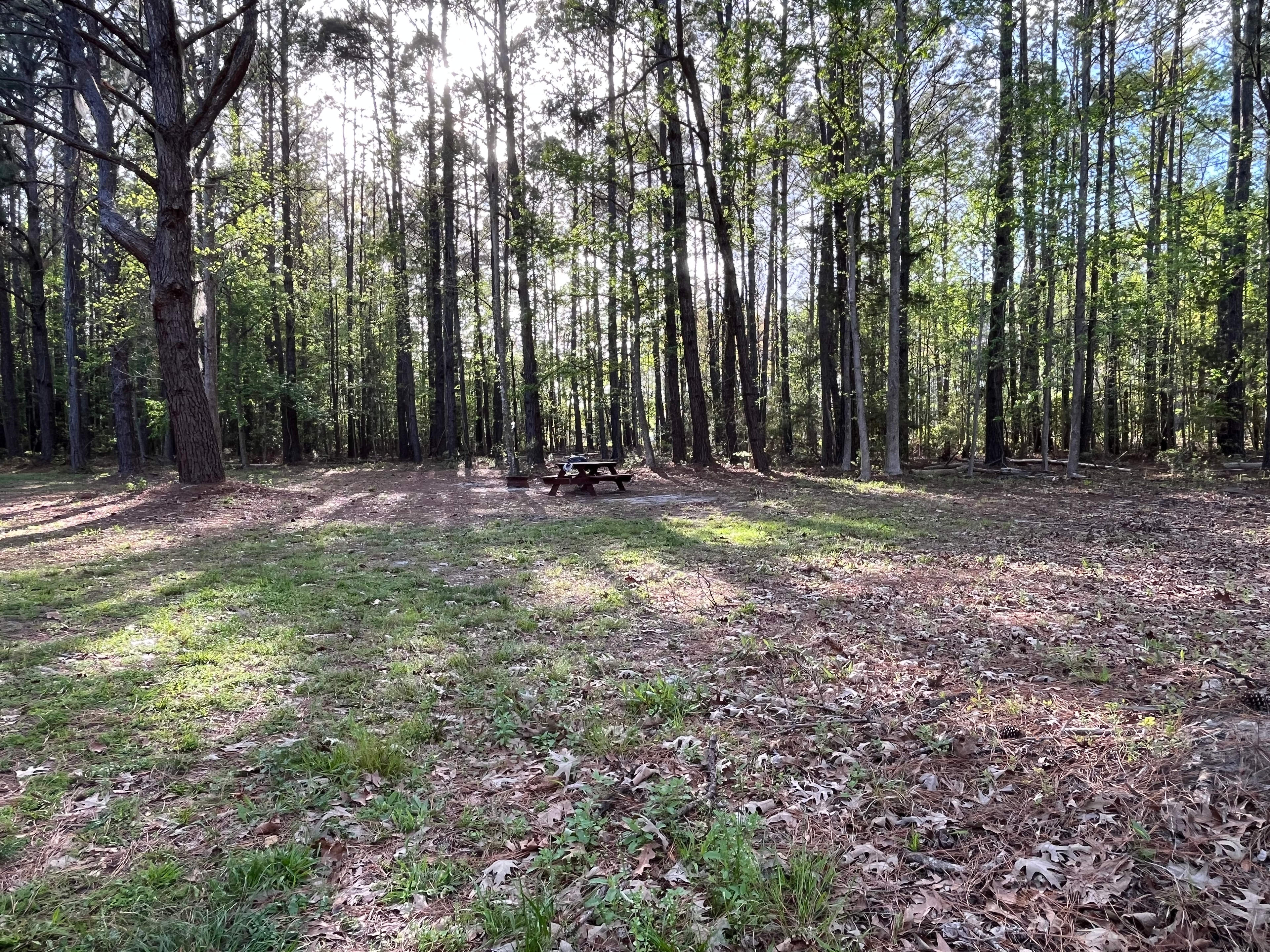 Site 1 first site on the right directly after vineyard 