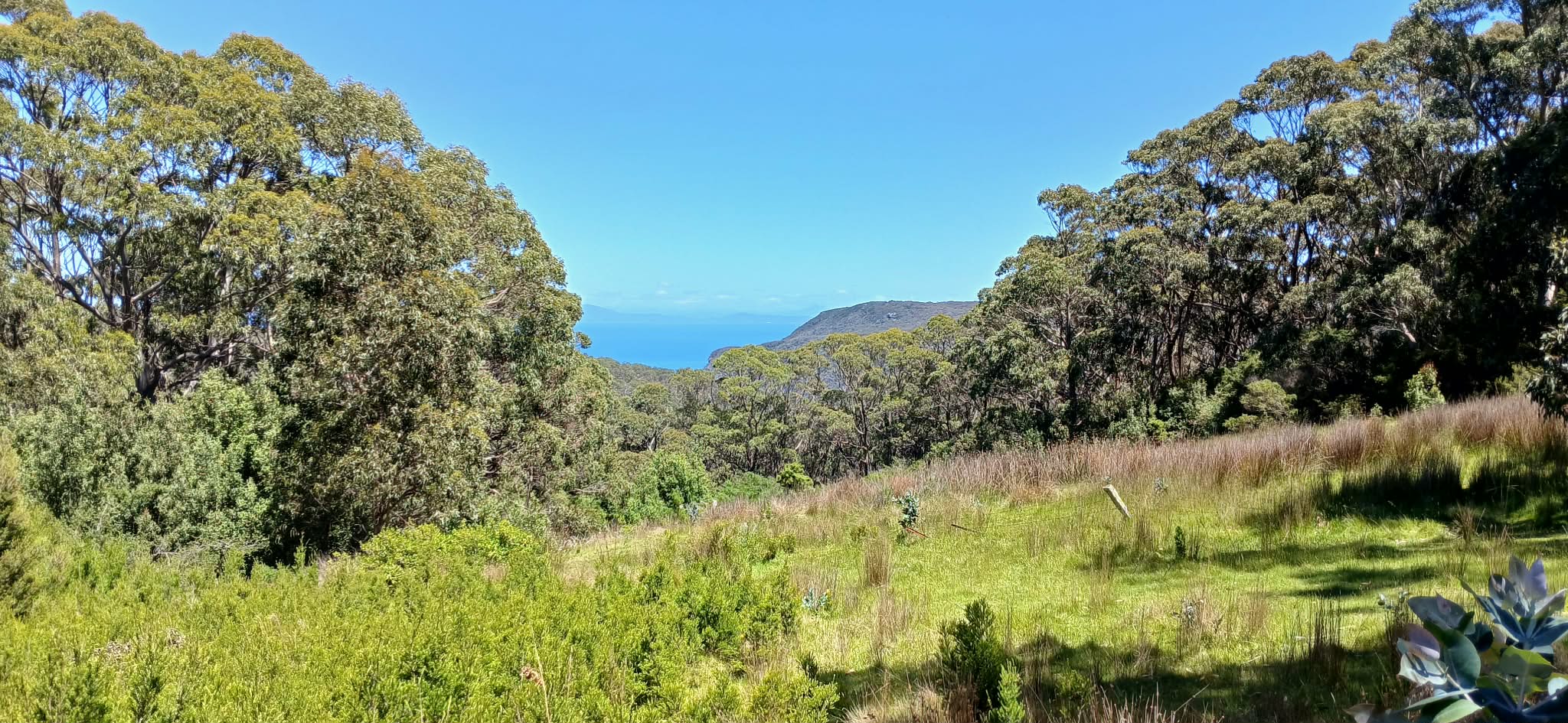 Tunnel Bay Creek Camp, Cape Raoul
