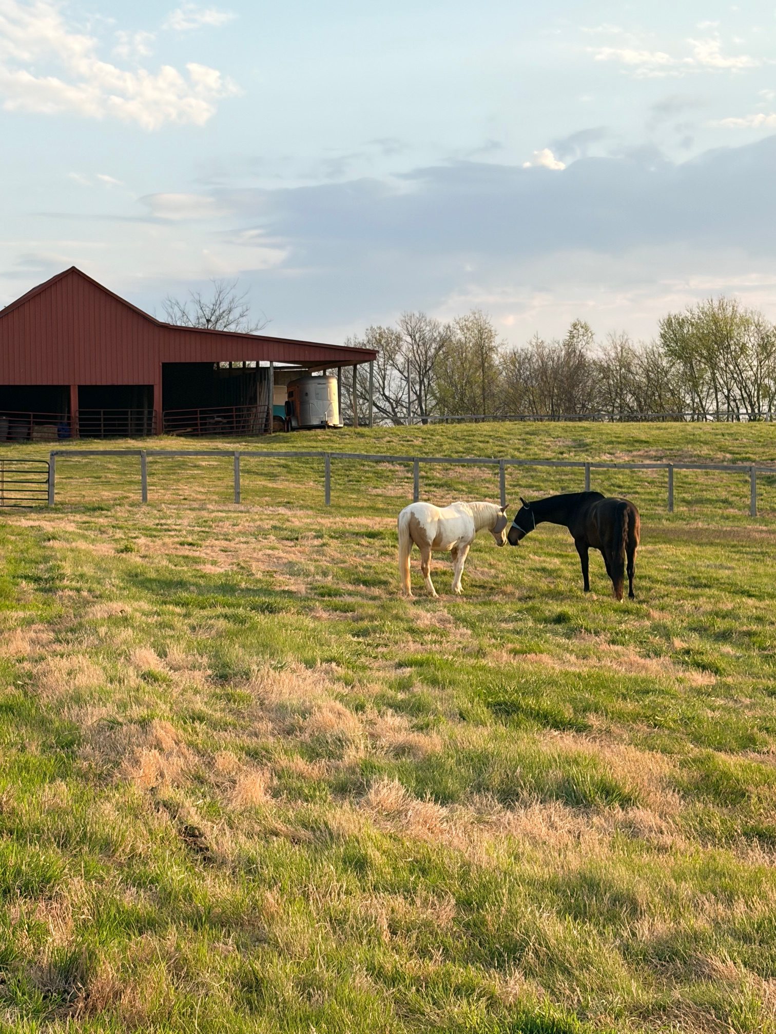 Harmony Acres