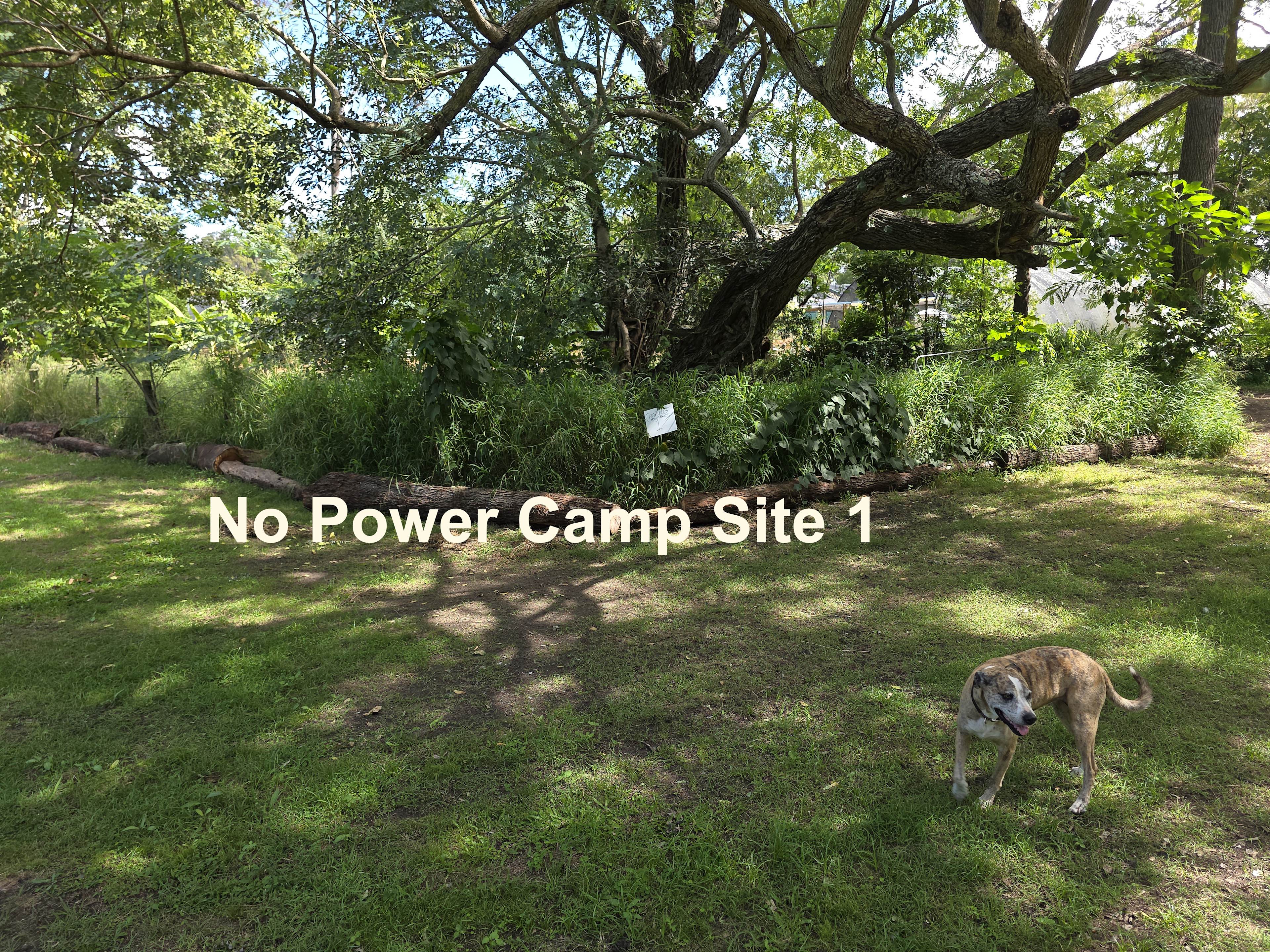 Relaxed Tamborine Village Farm Camp