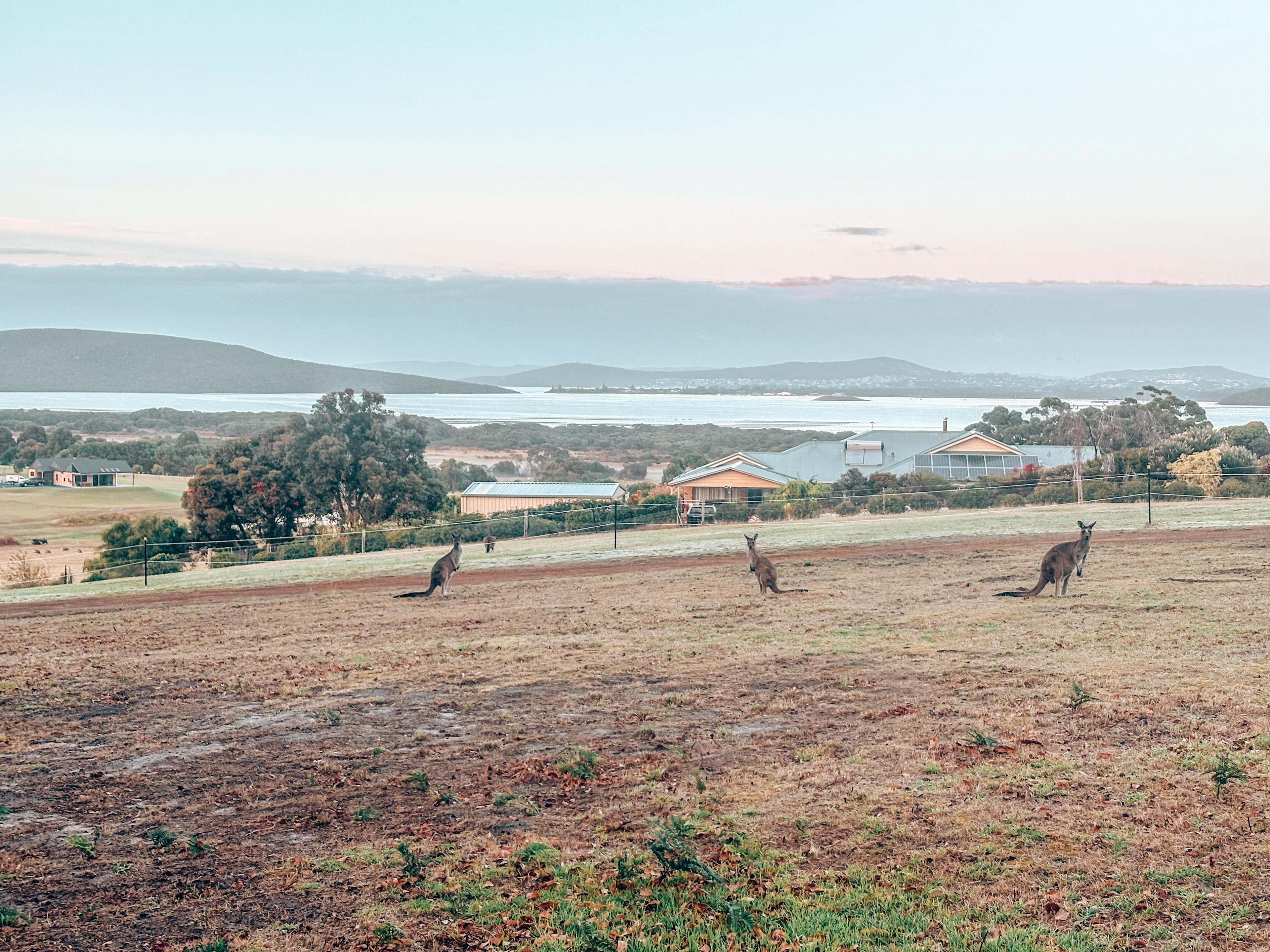 Sunset Hill Kalgan