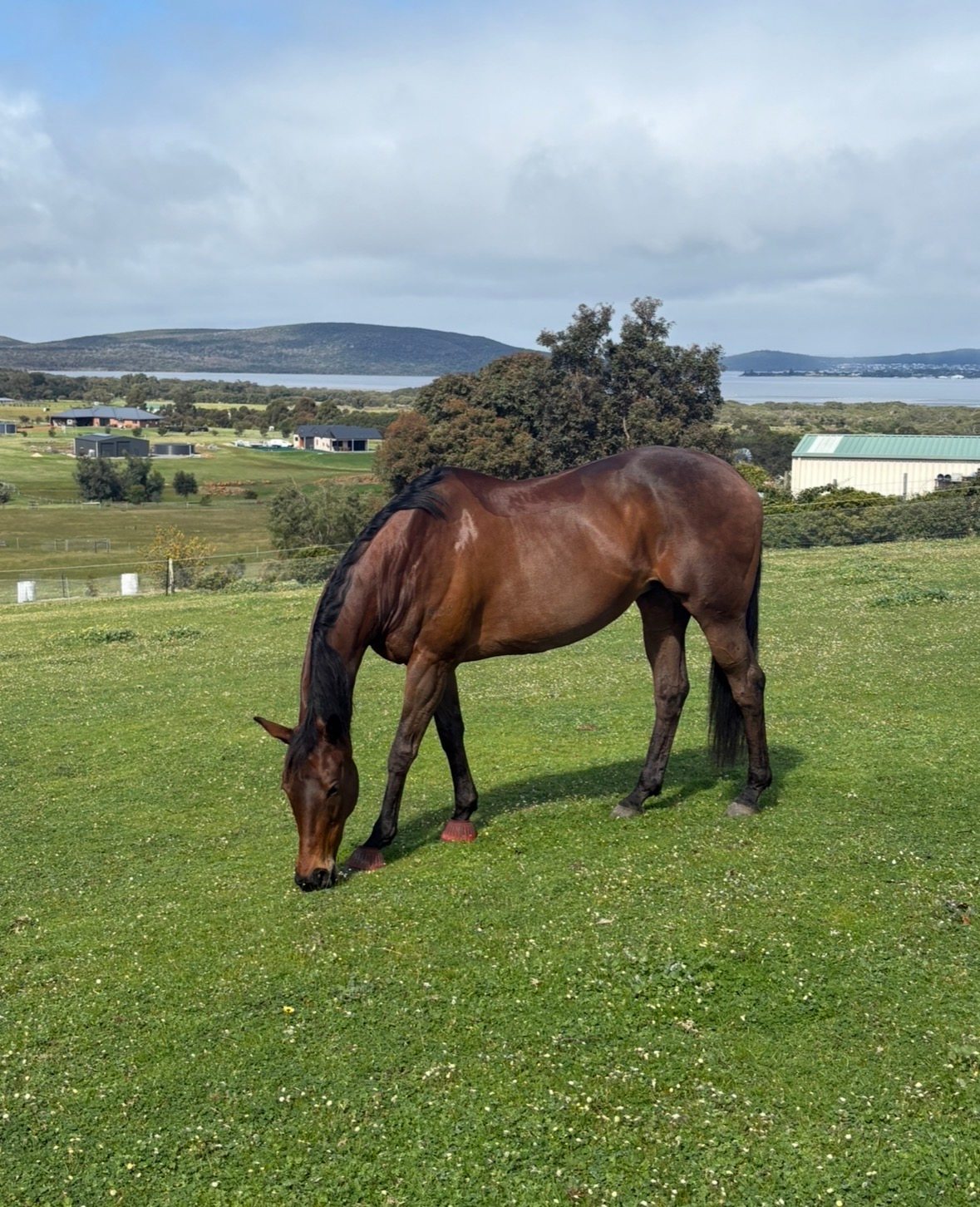 Sunset Hill Kalgan