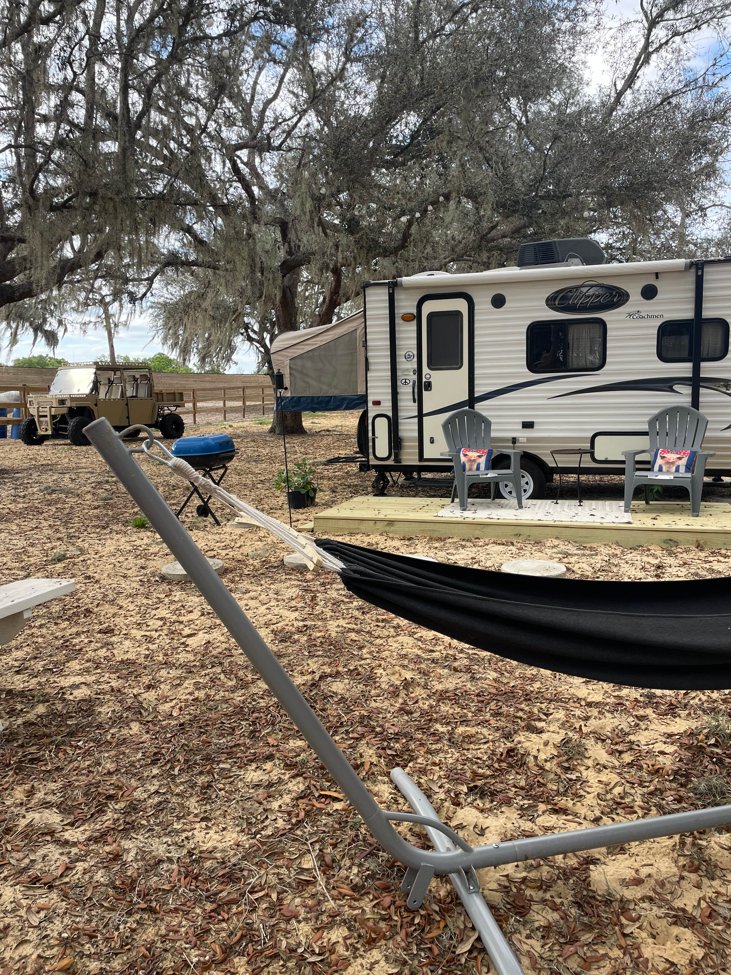 Camp with Goats and Ostrich