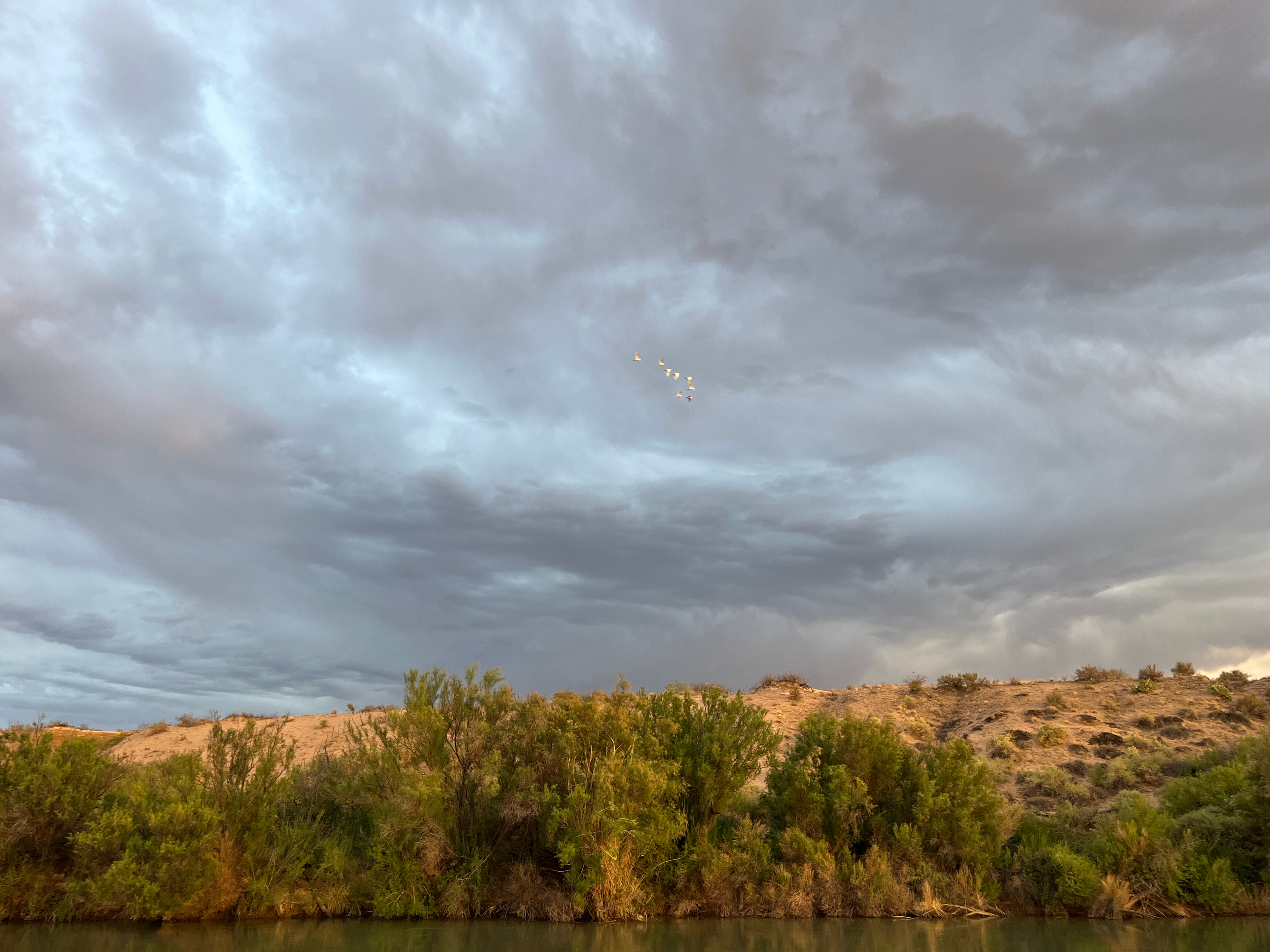 Bosque Del Rio Camp