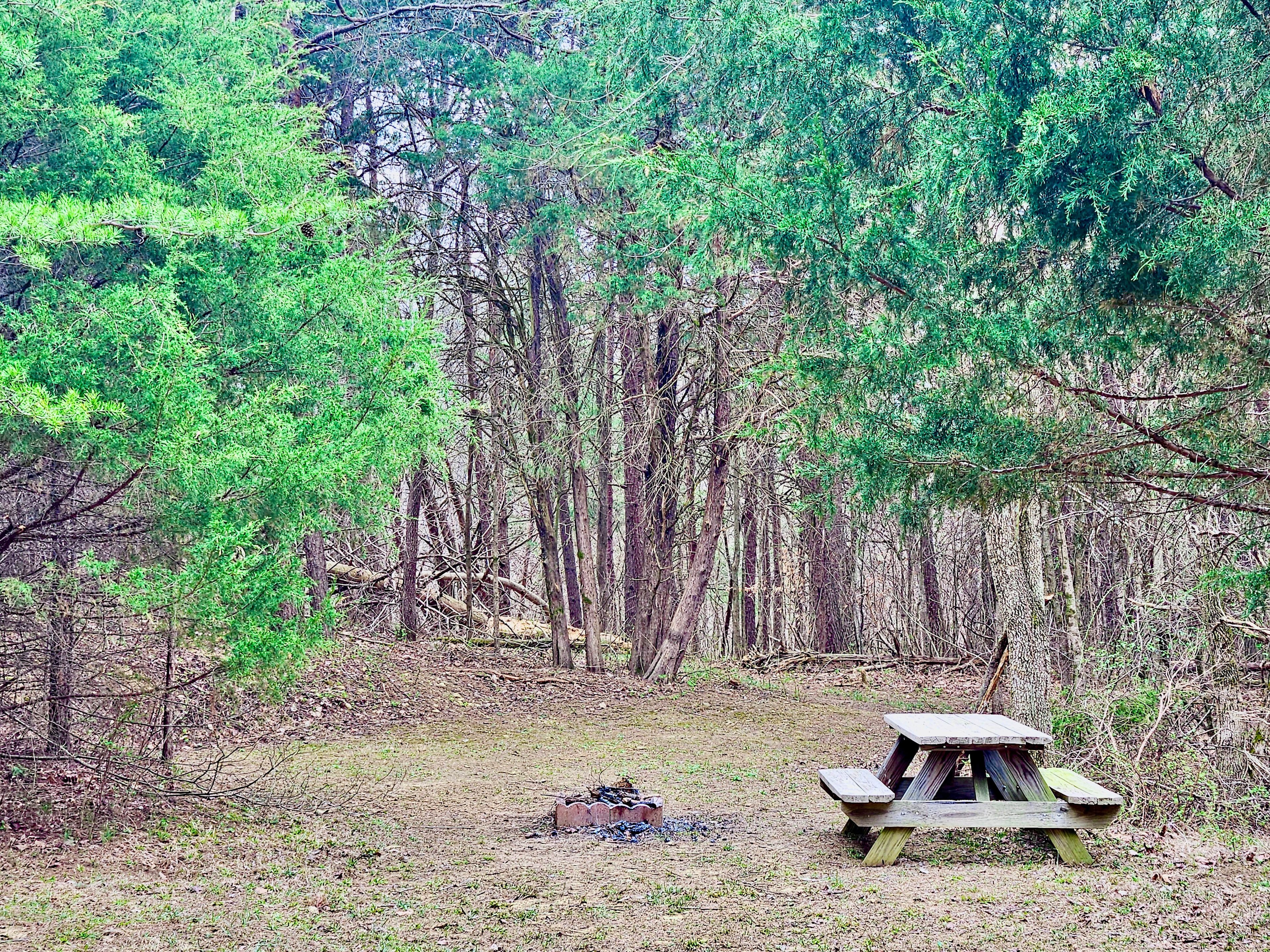Hide Away Campsiteg
