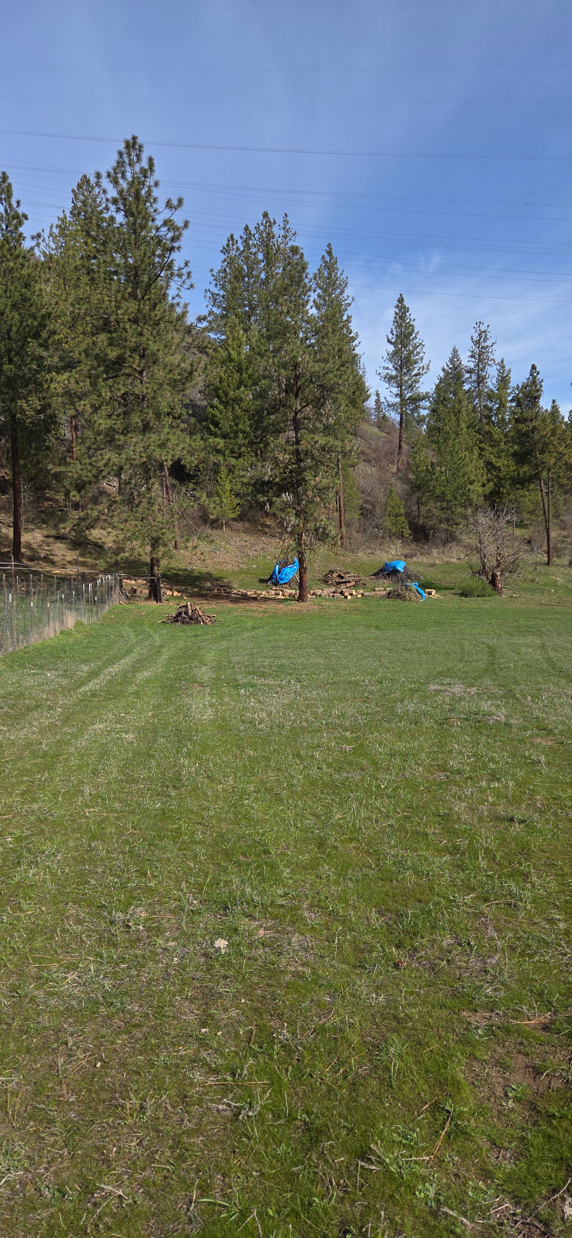 Coulee Mesa Camp – Primitive Escape