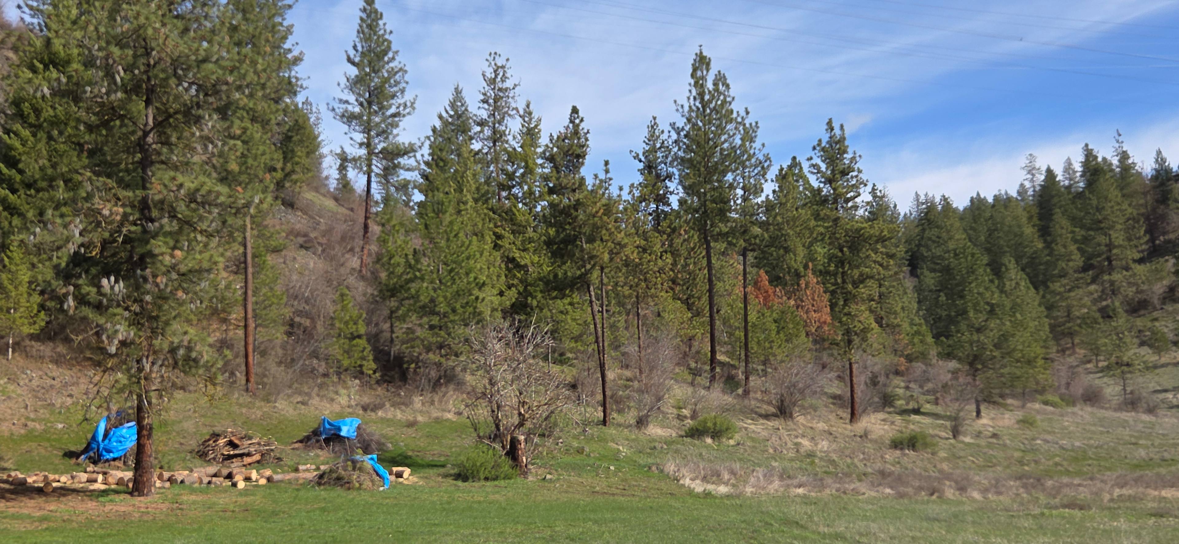Coulee Mesa Camp – Primitive Escape