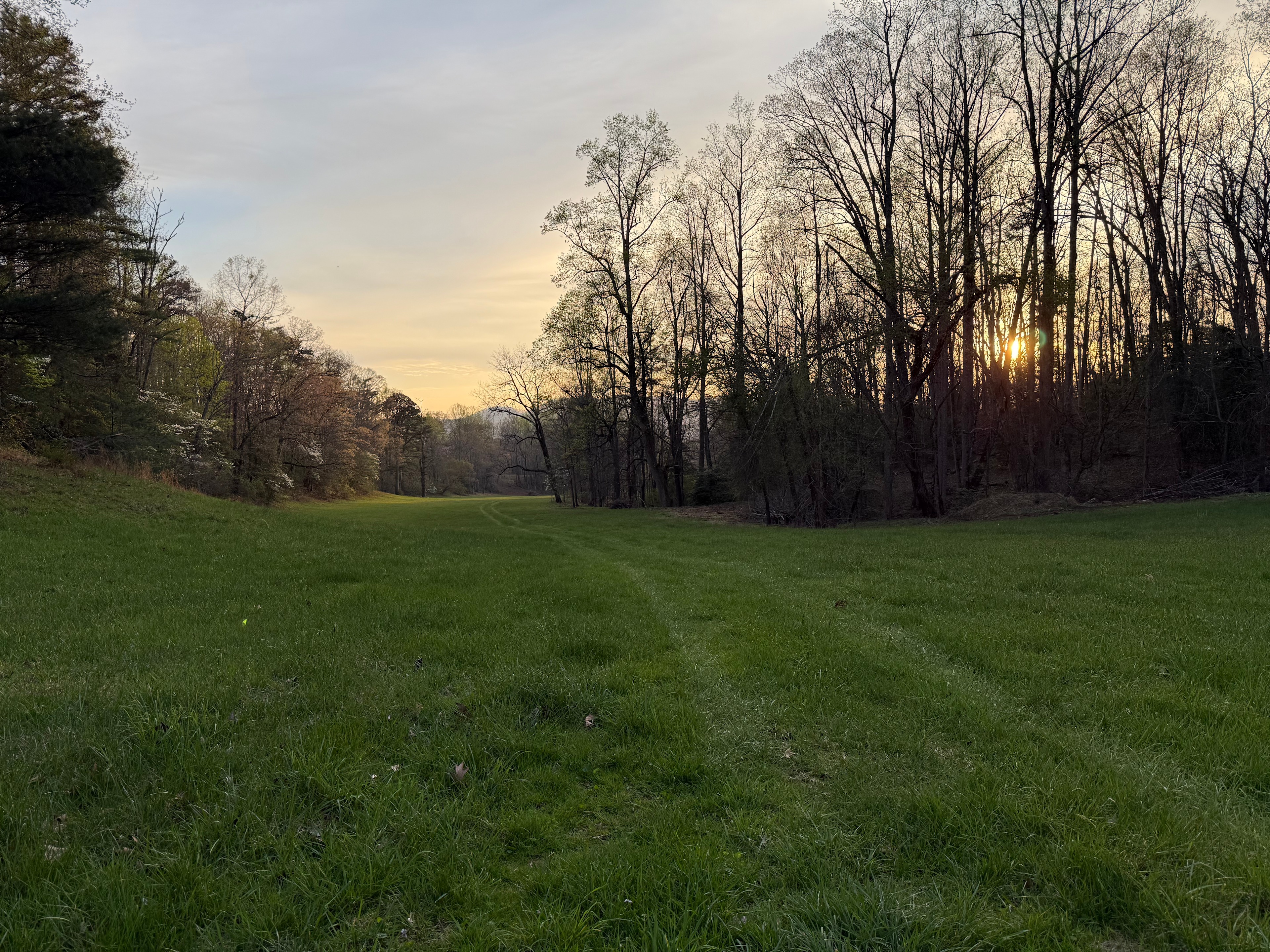 Walnut Springs Estate: Off-grid