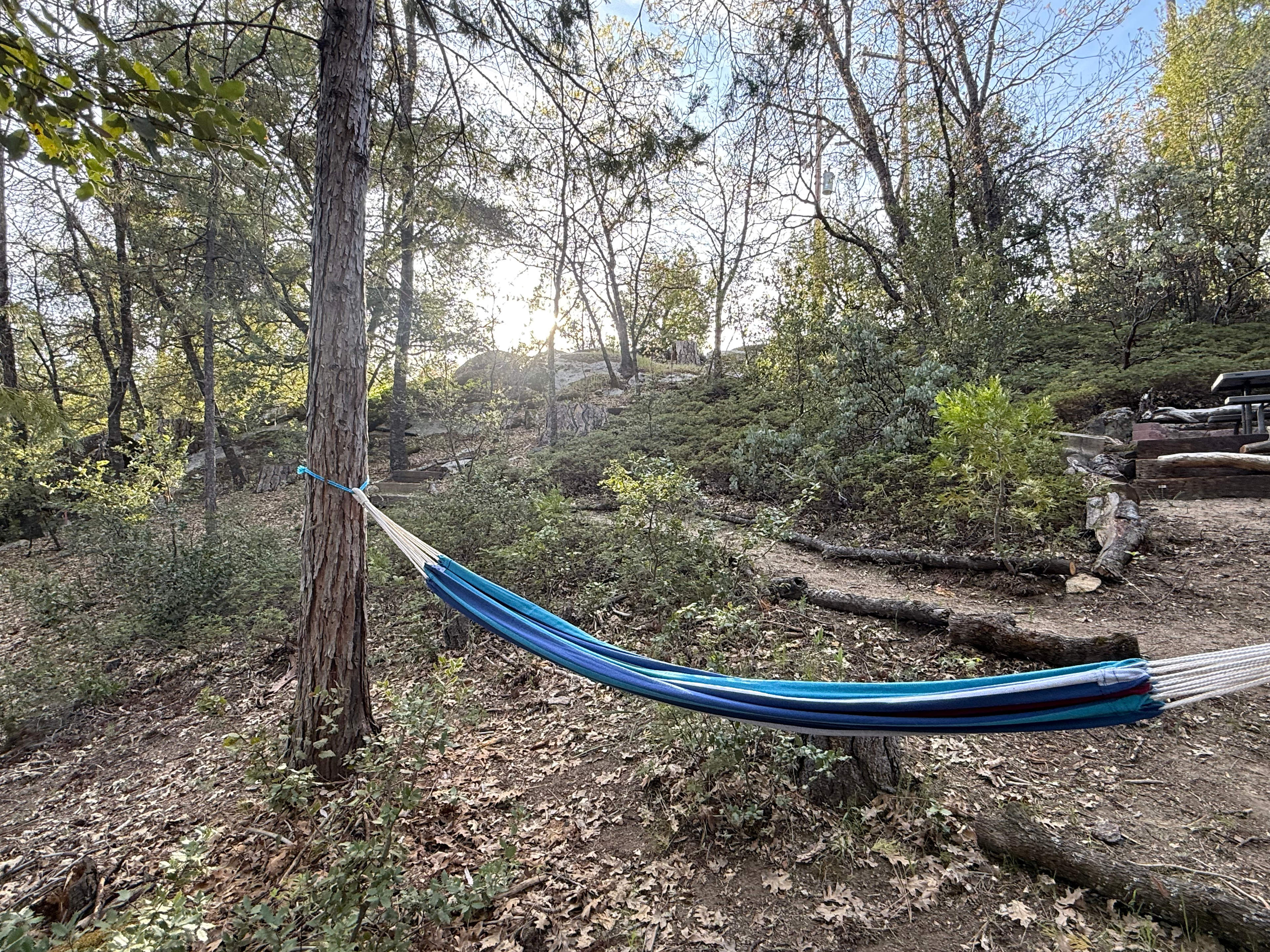 Stargazing Dome with Forest Cottage- Lakefront