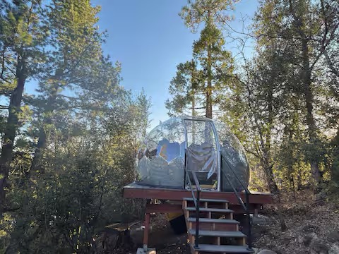 Stargazing Dome with Forest Cottage- Lakefront