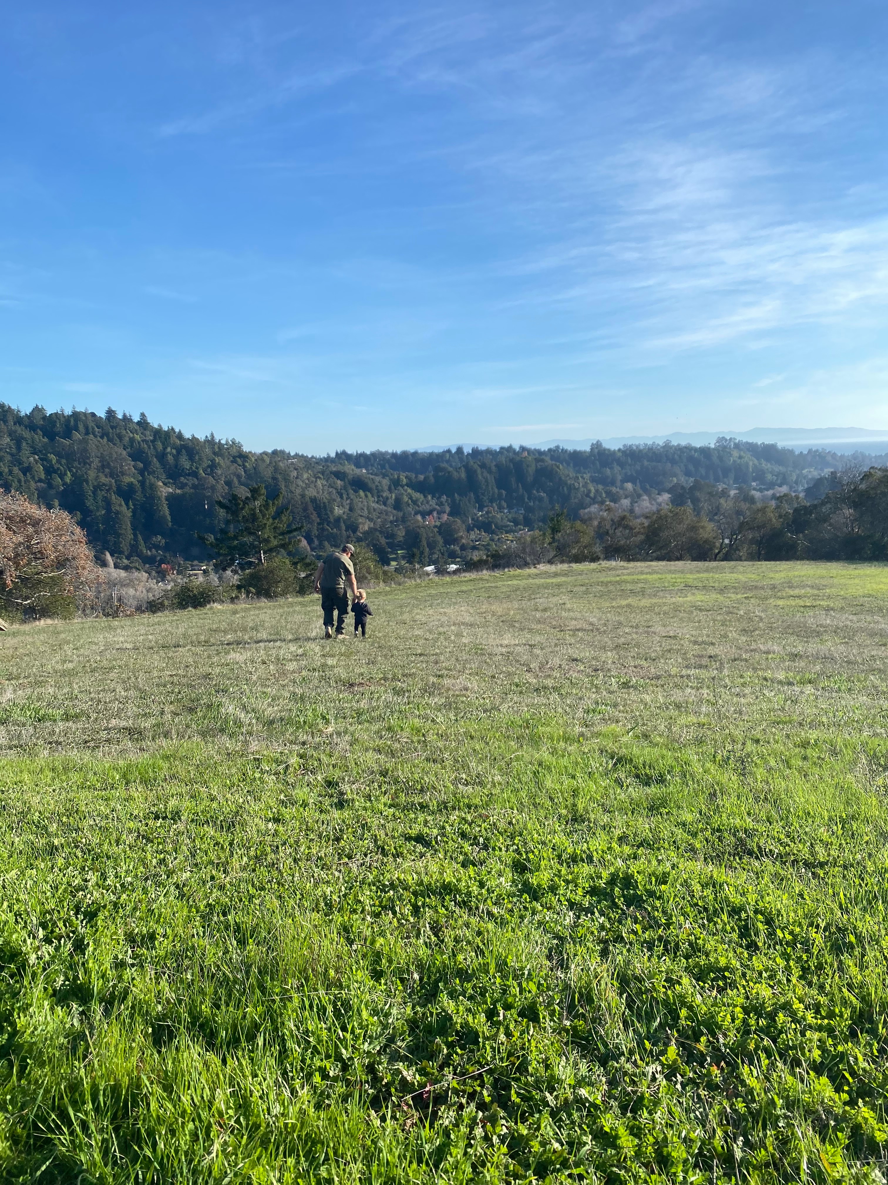 Peaceful Soquel Beach Rv Campground