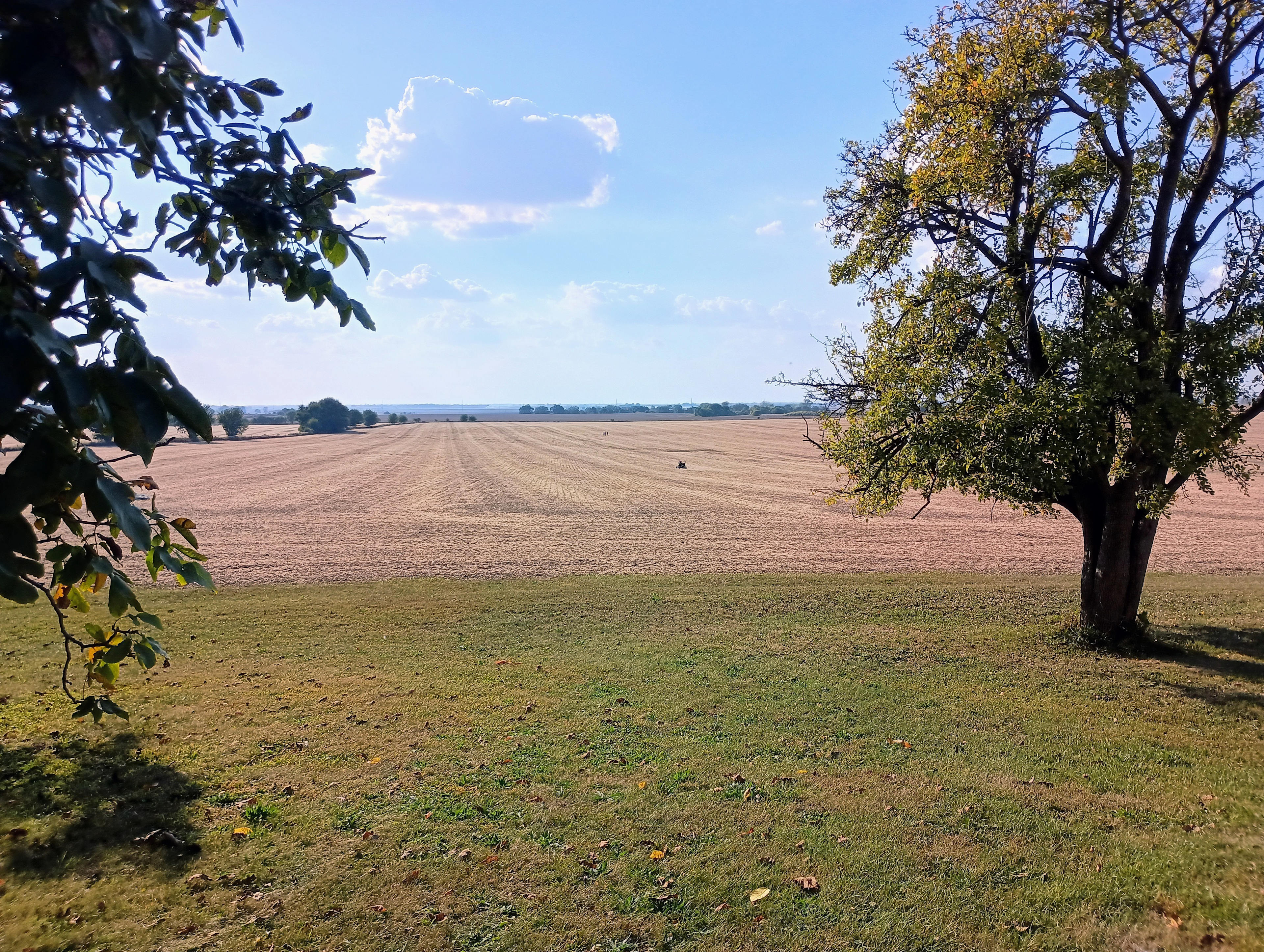 Edge Of Town Escape