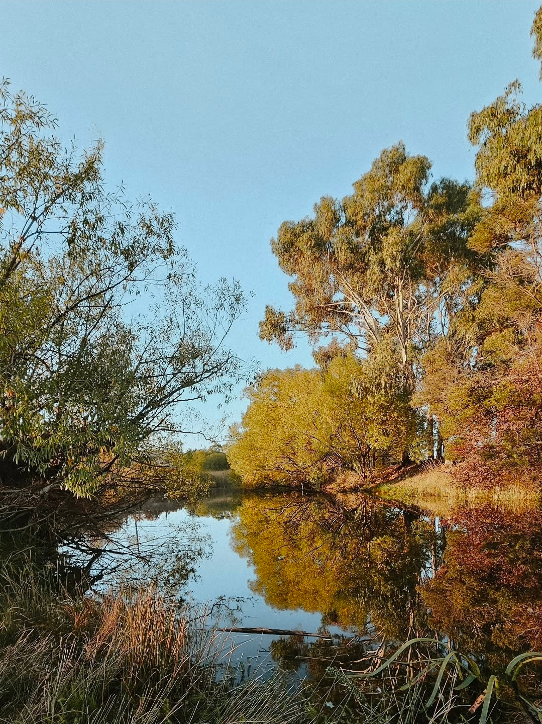 Coal River Retreat- Exclusive use