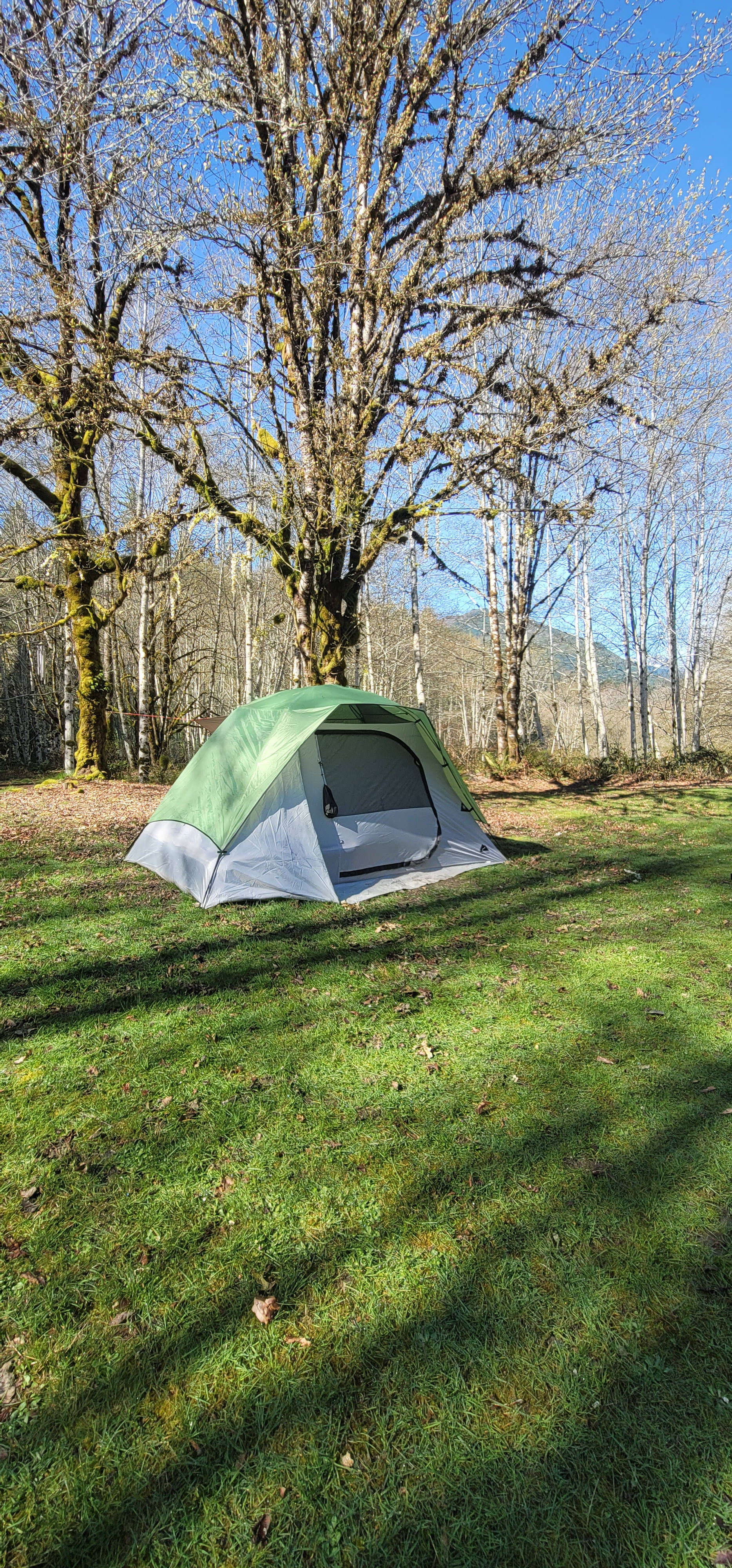 Rhythms Of Nature Base Camp