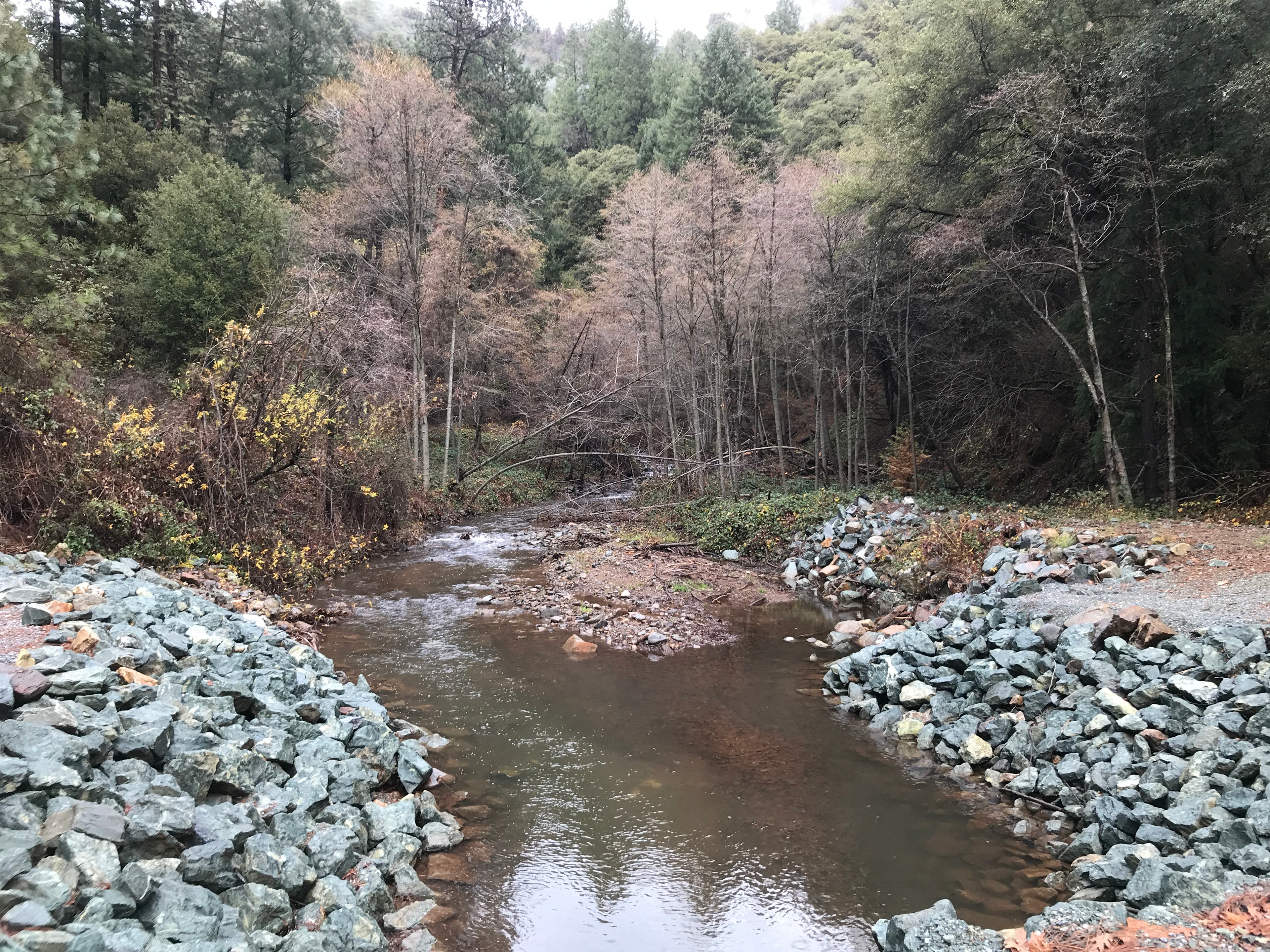 Camping & Tenting in Pioneer, CA