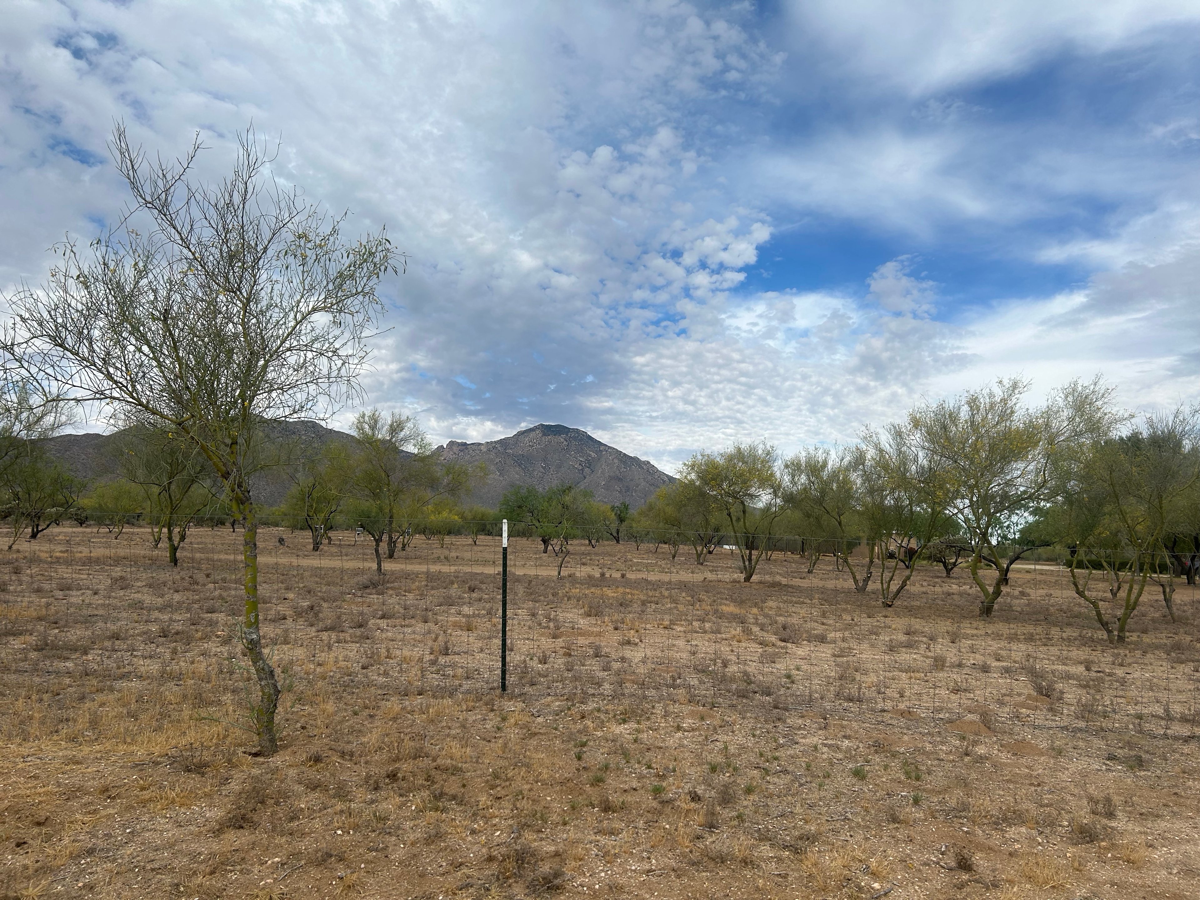 Split Nose Ranch