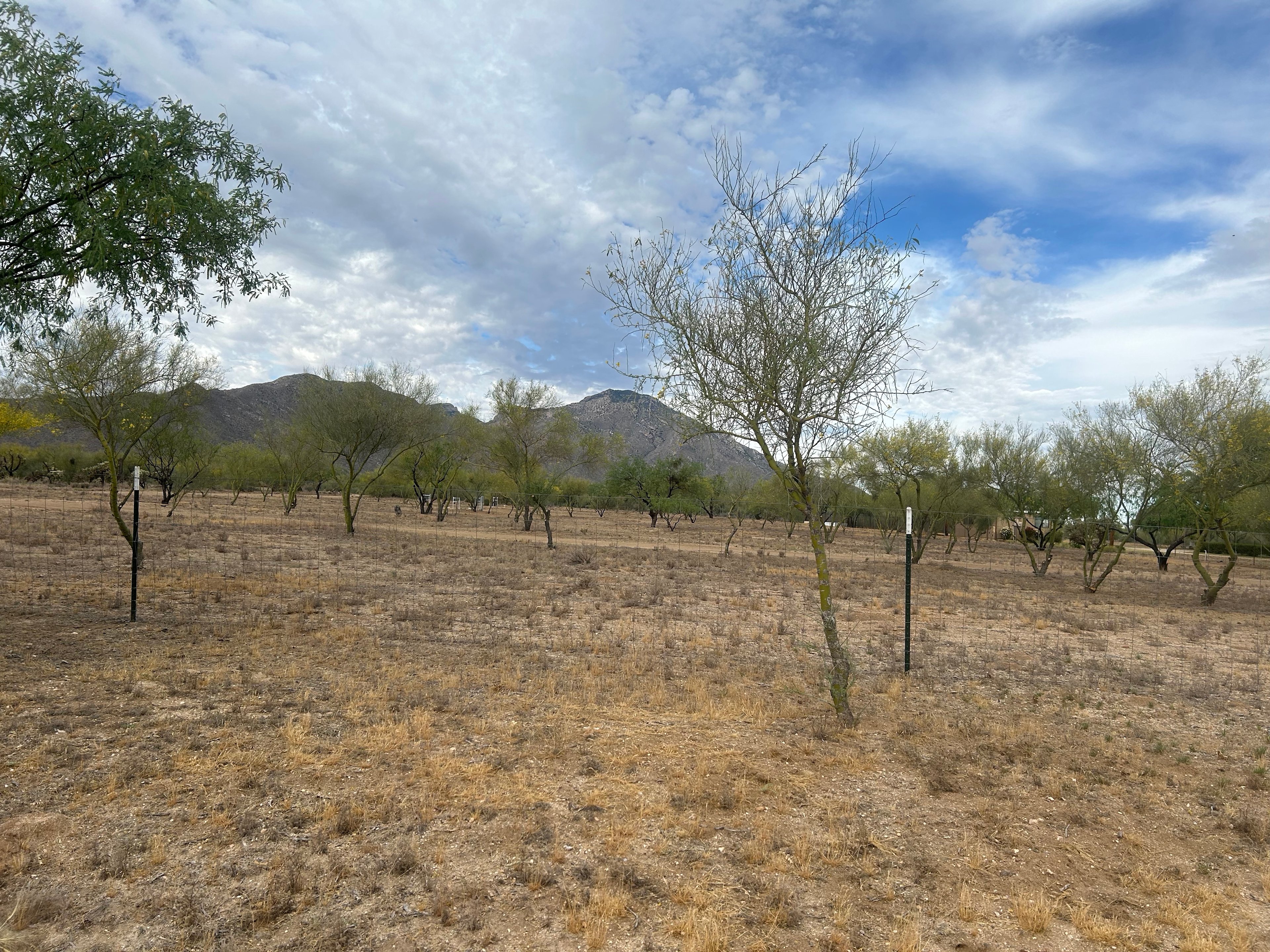 Split Nose Ranch