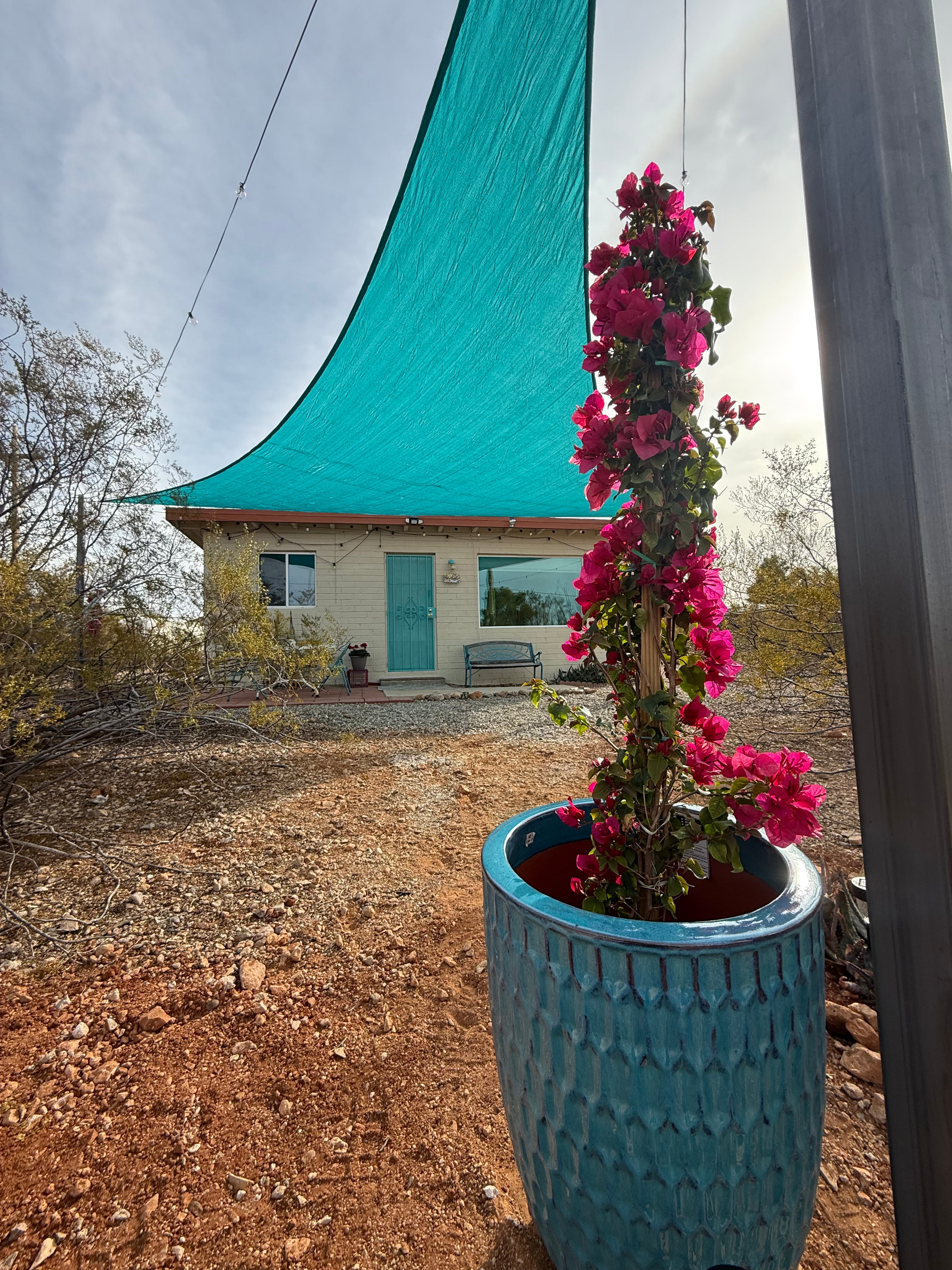 Our tiny home has a long history of hosting writers, graduate students and creatives seeking inspiration from the flora and fauna of the Sonoran Desert.