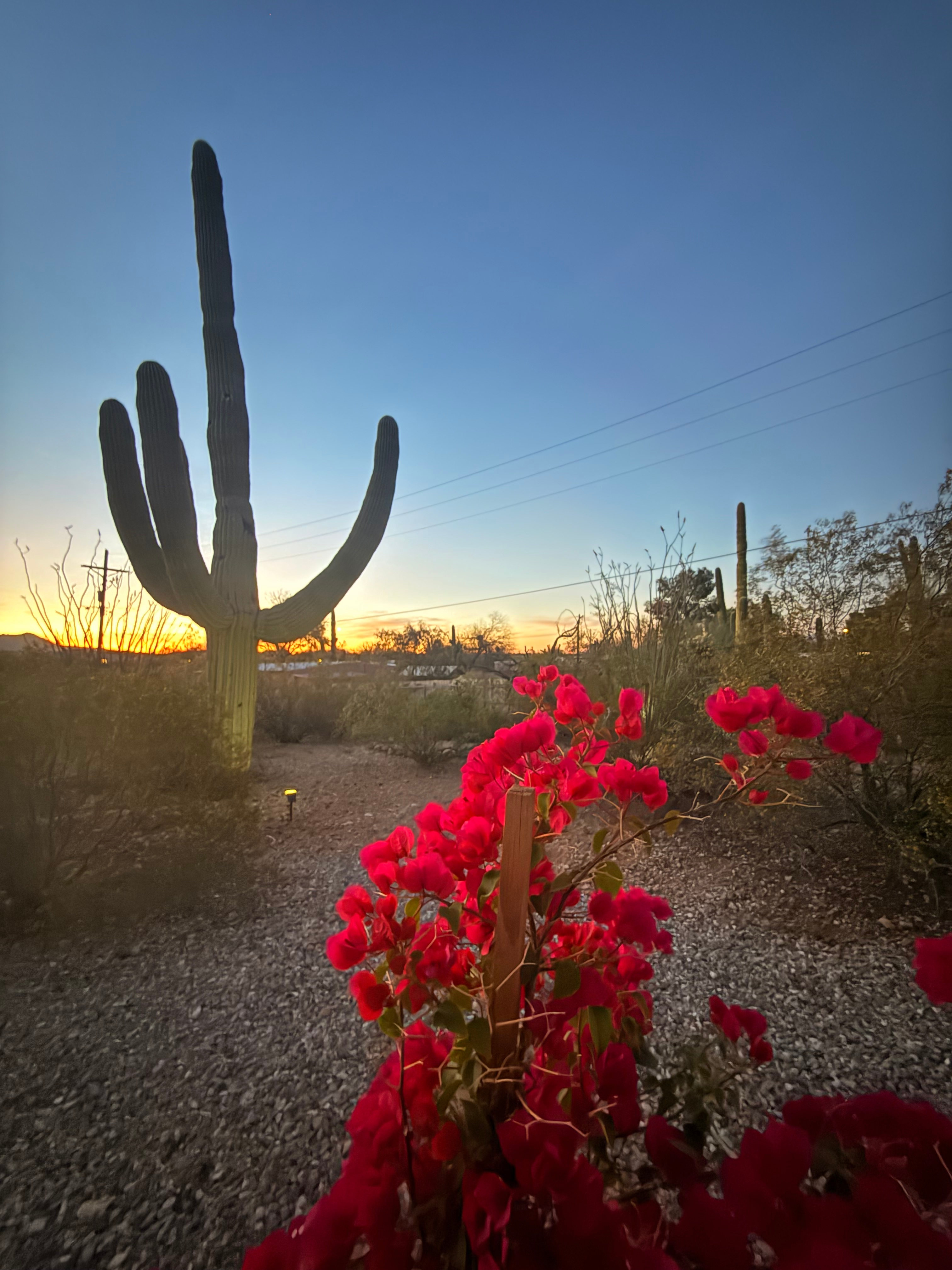 Saguaro Starlight Casita