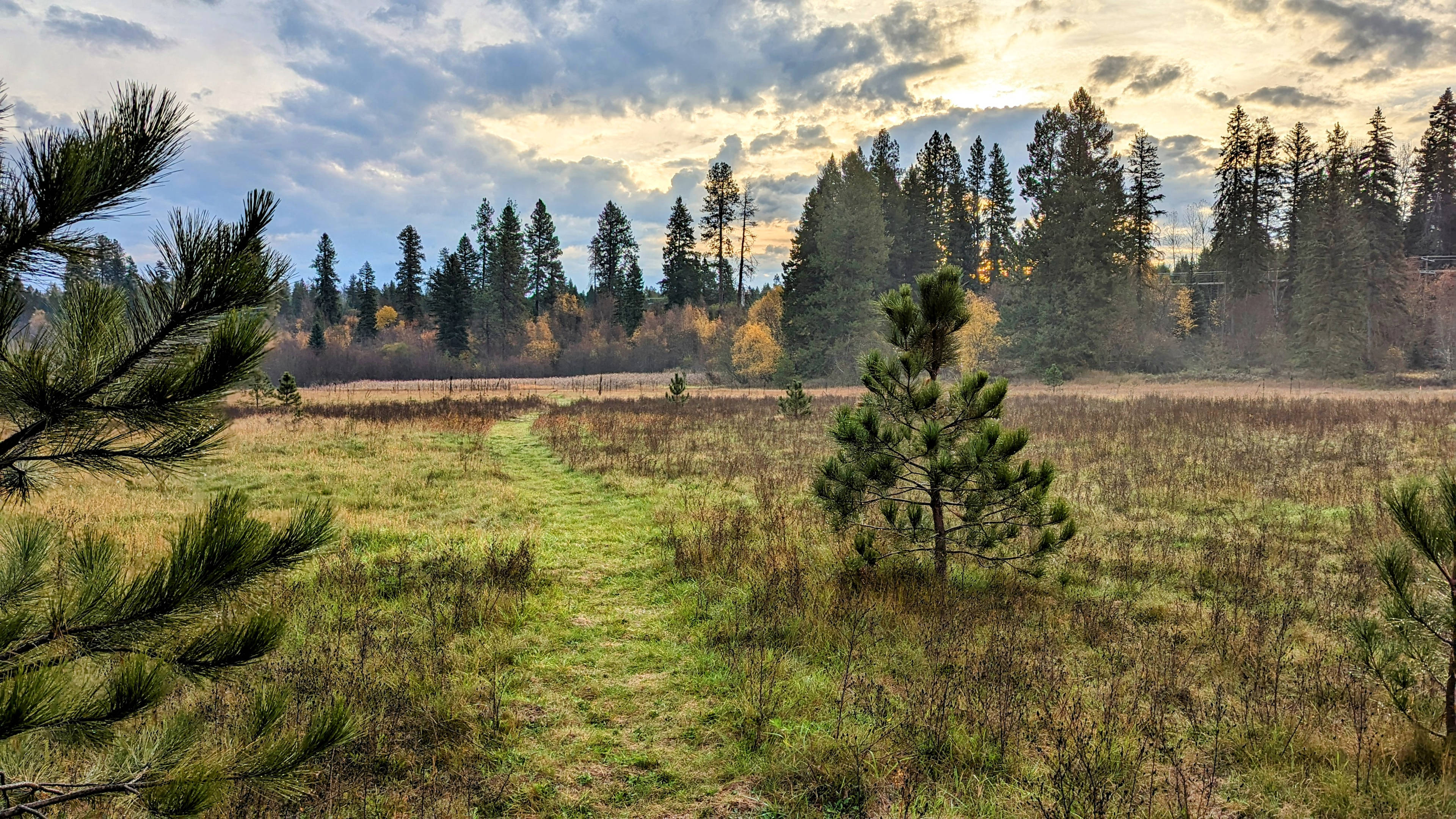 Twin Creeks RV Retreat