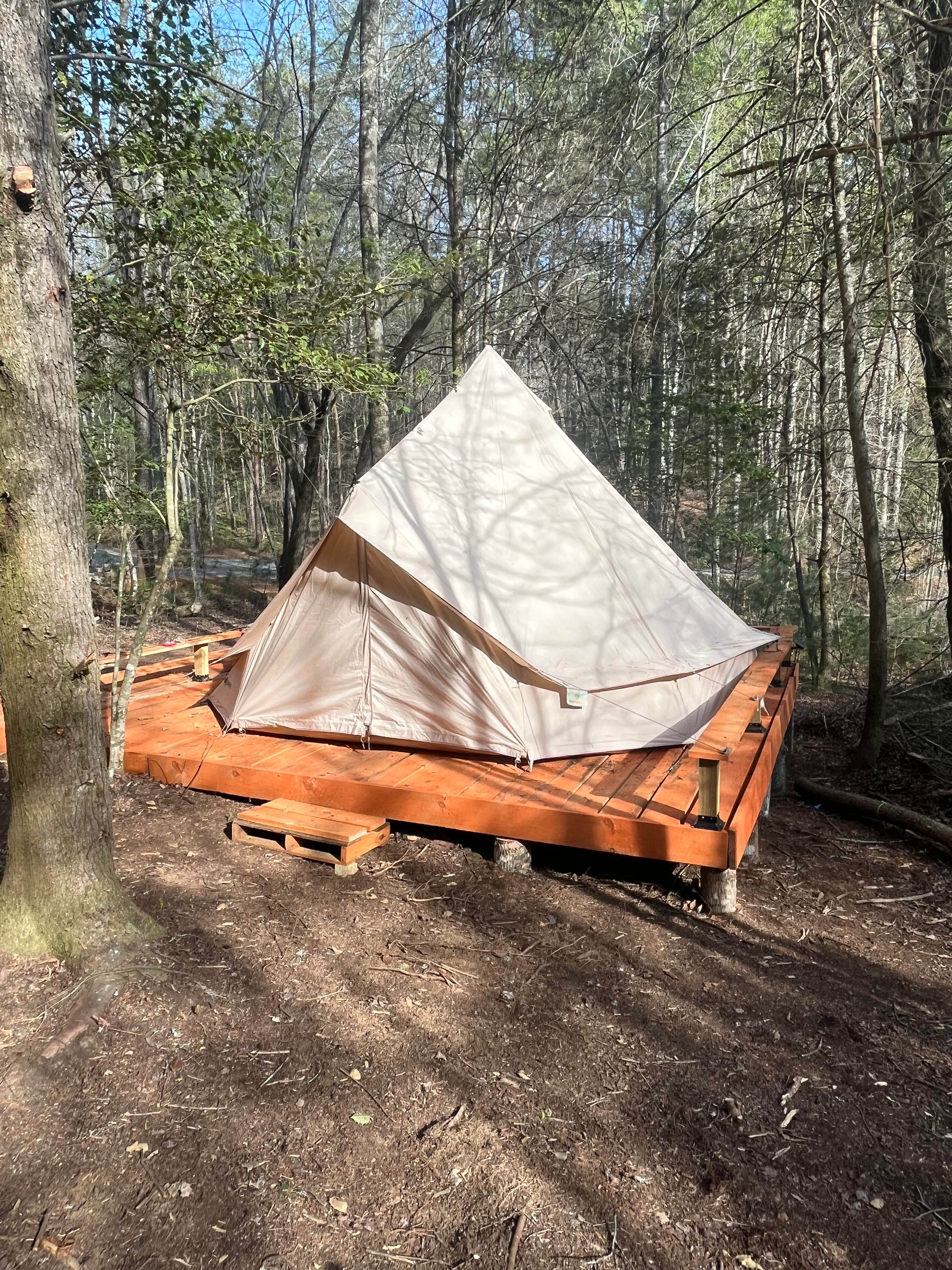 Salty Pines Hideaway