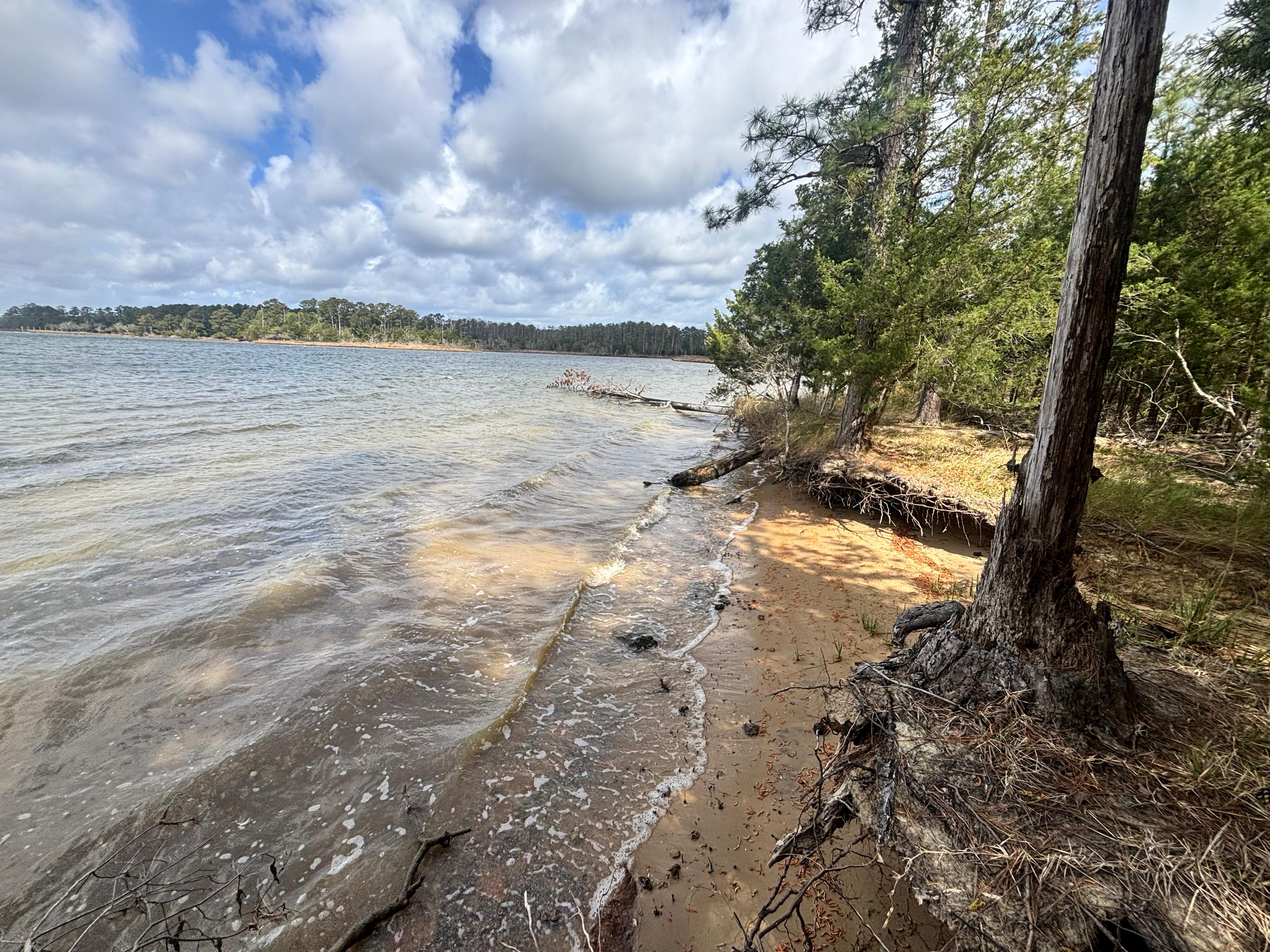160 Acres  1700's waterfront forest