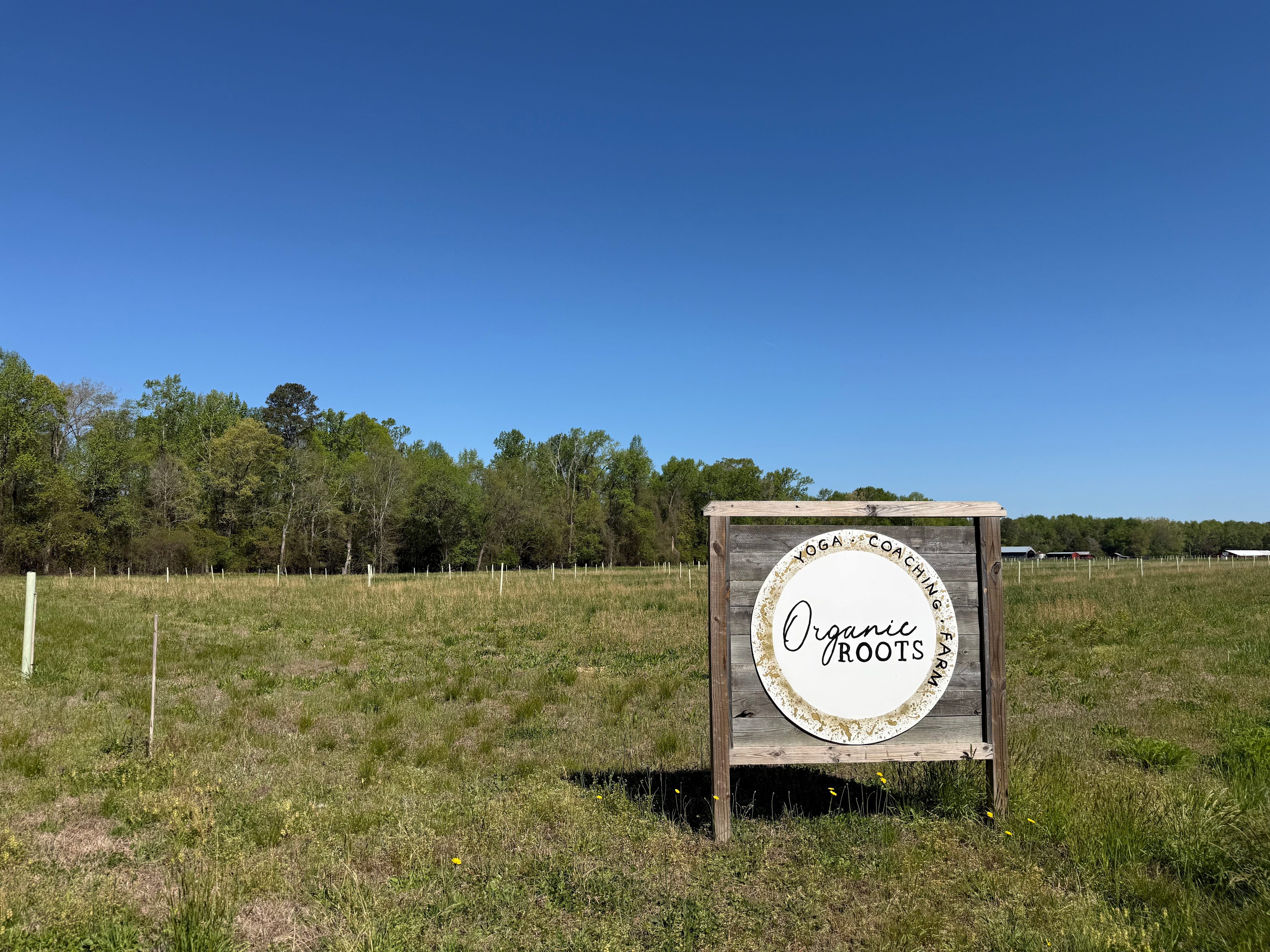 Organic Roots Farm