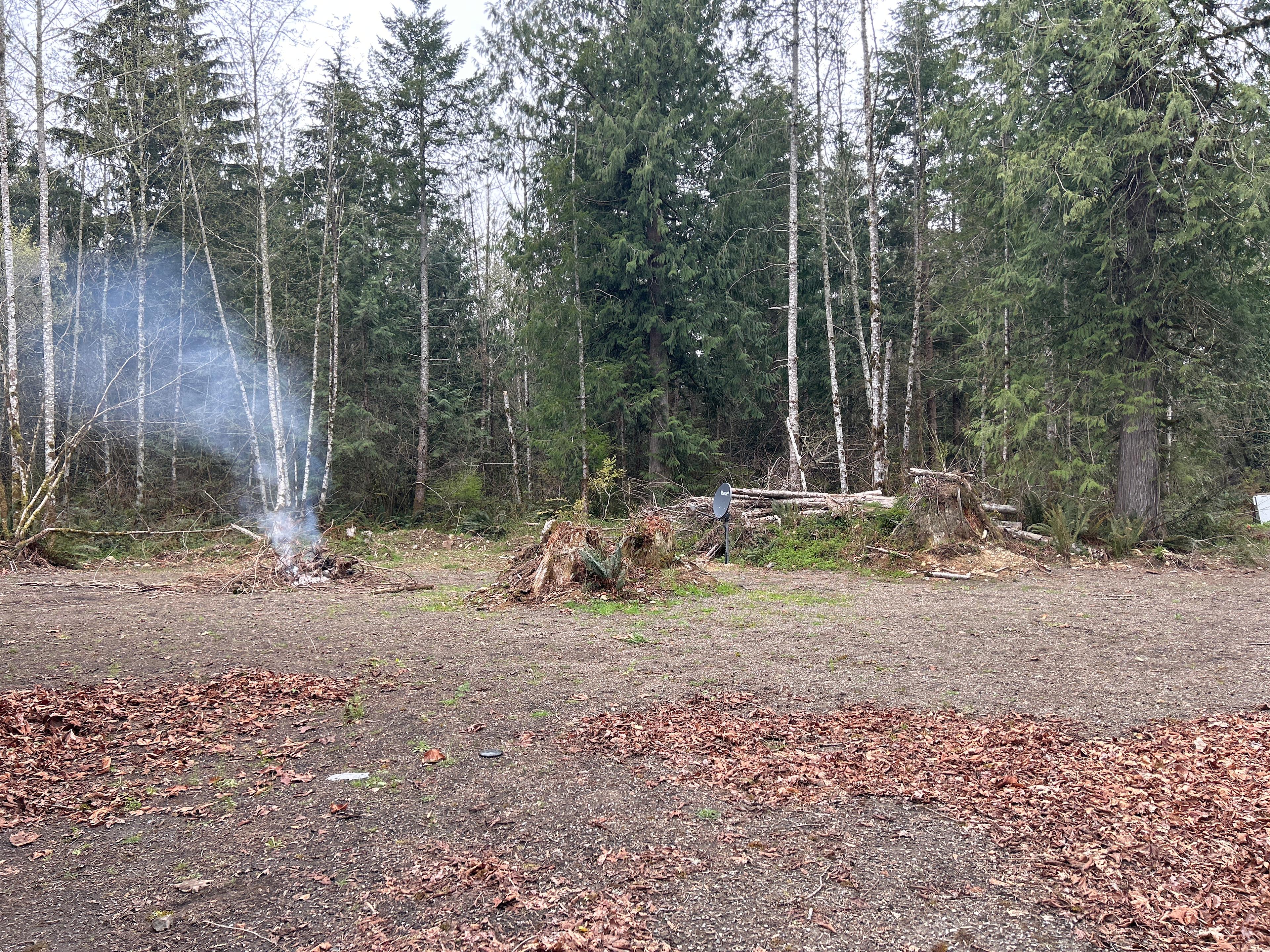Pine & Peak Retreat