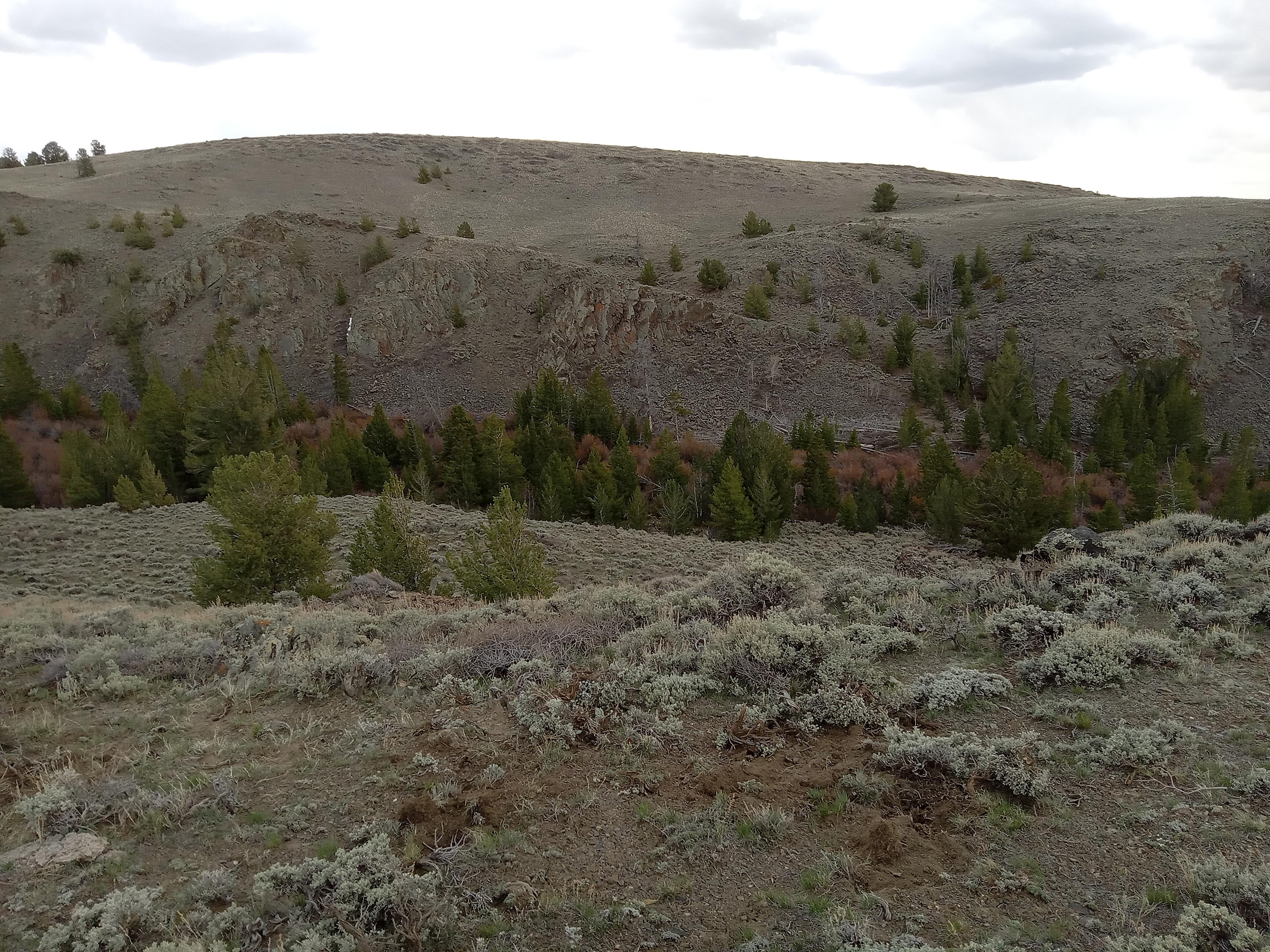 South Pass Camp