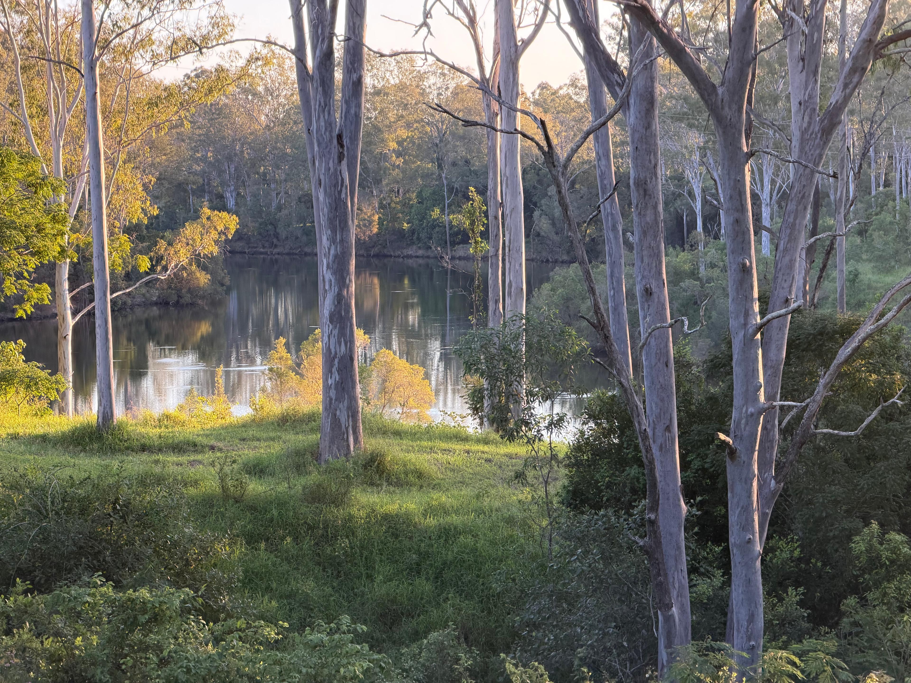 “Shepherds Hill” on the Mary River