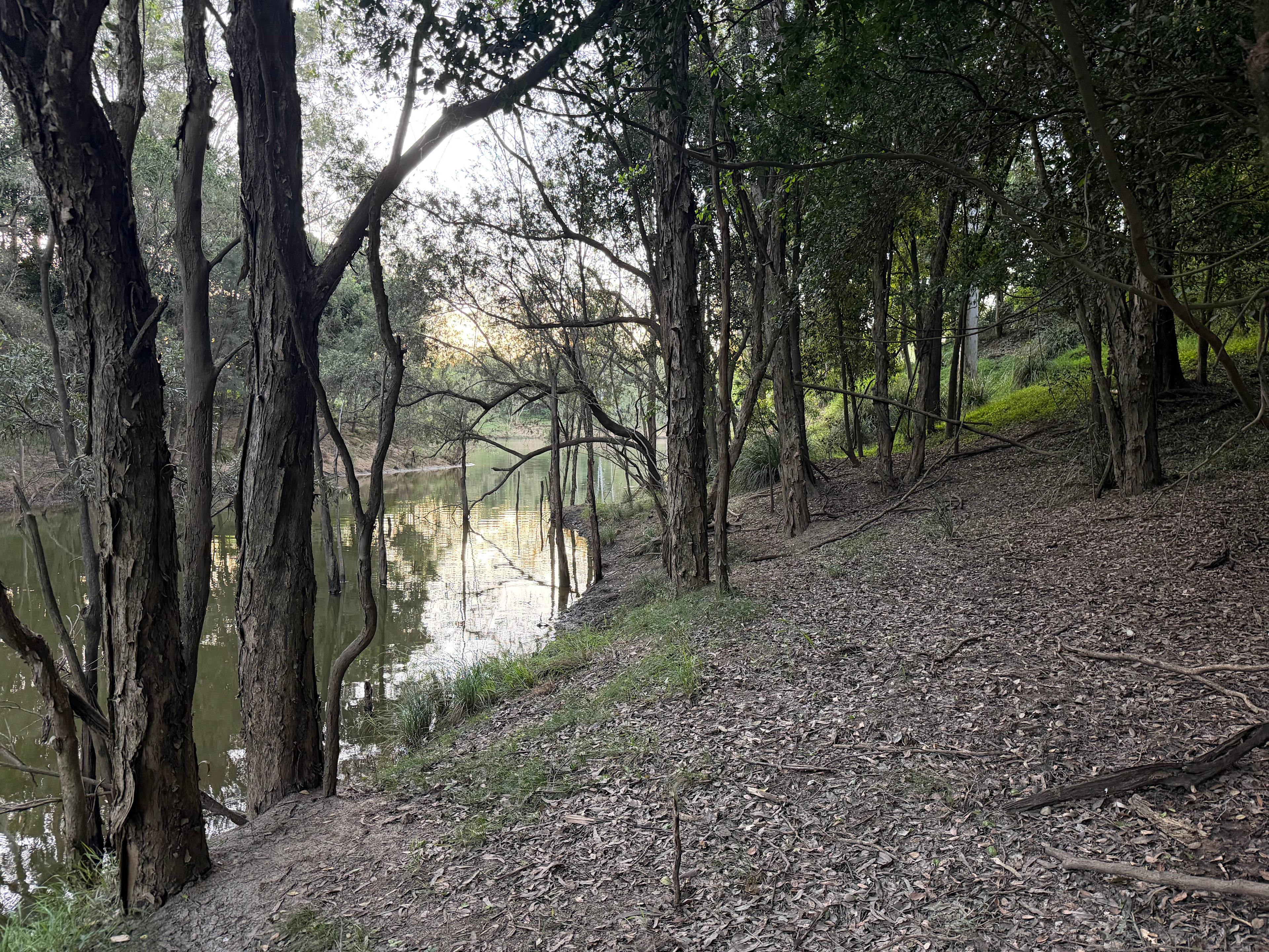 “Shepherds Hill” on the Mary River