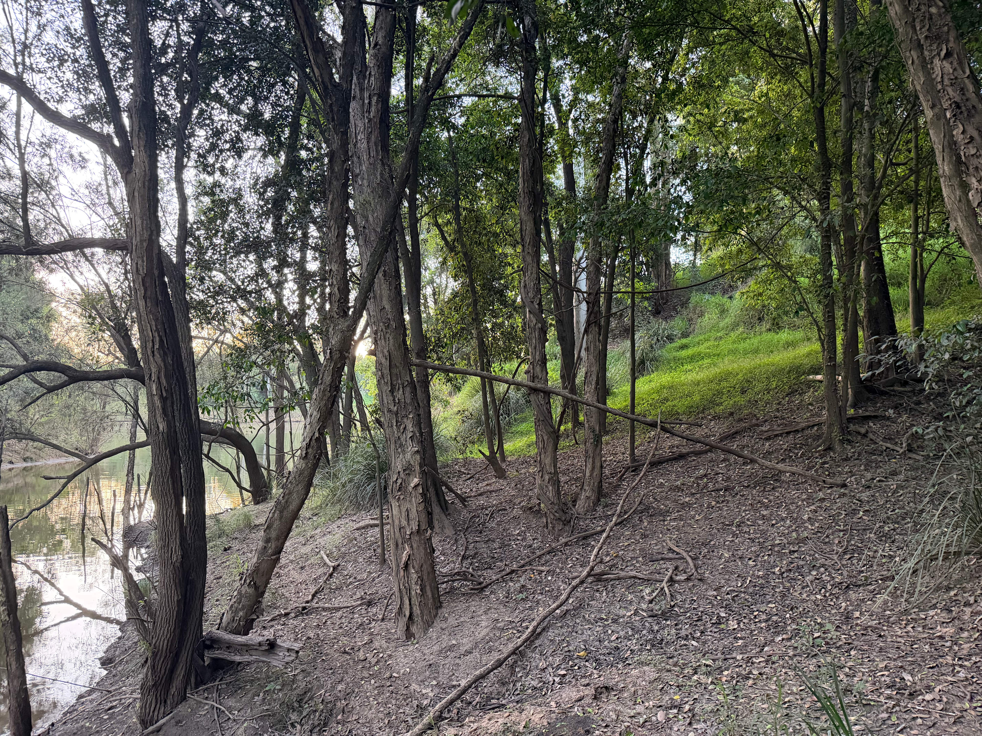 “Shepherds Hill” on the Mary River