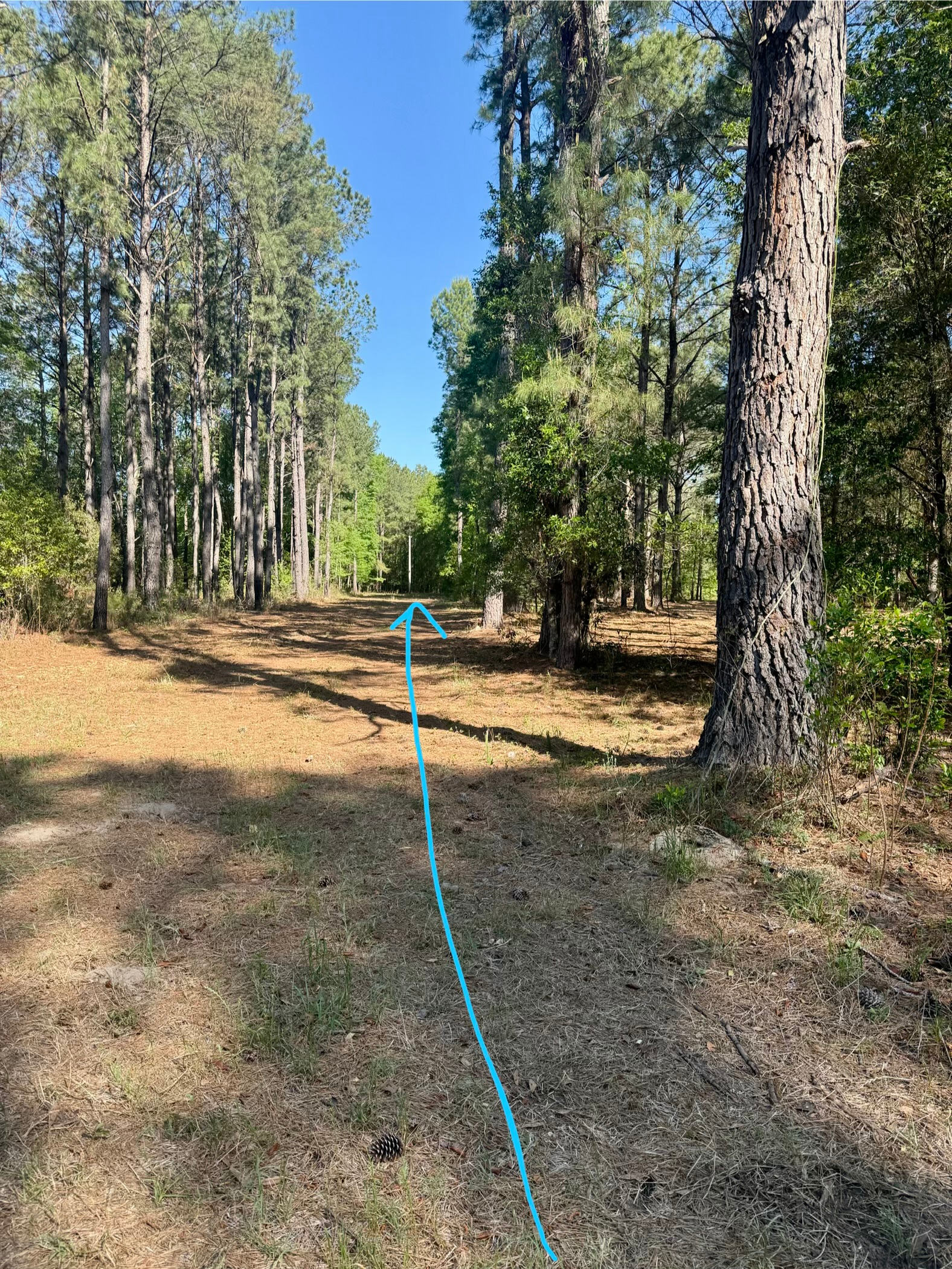 When you first enter the driveway… follow straight down toward the electric pole & old shack. 
