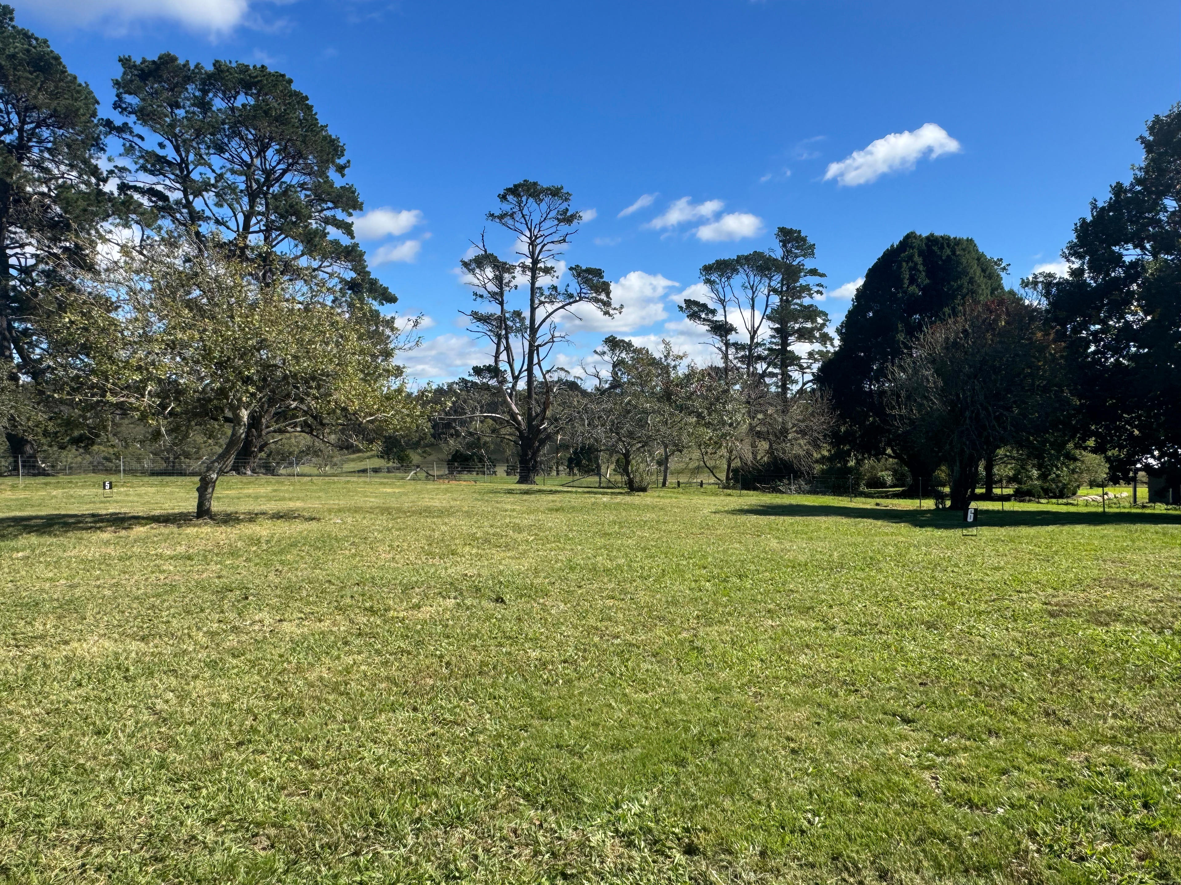 Notlaw Orchard