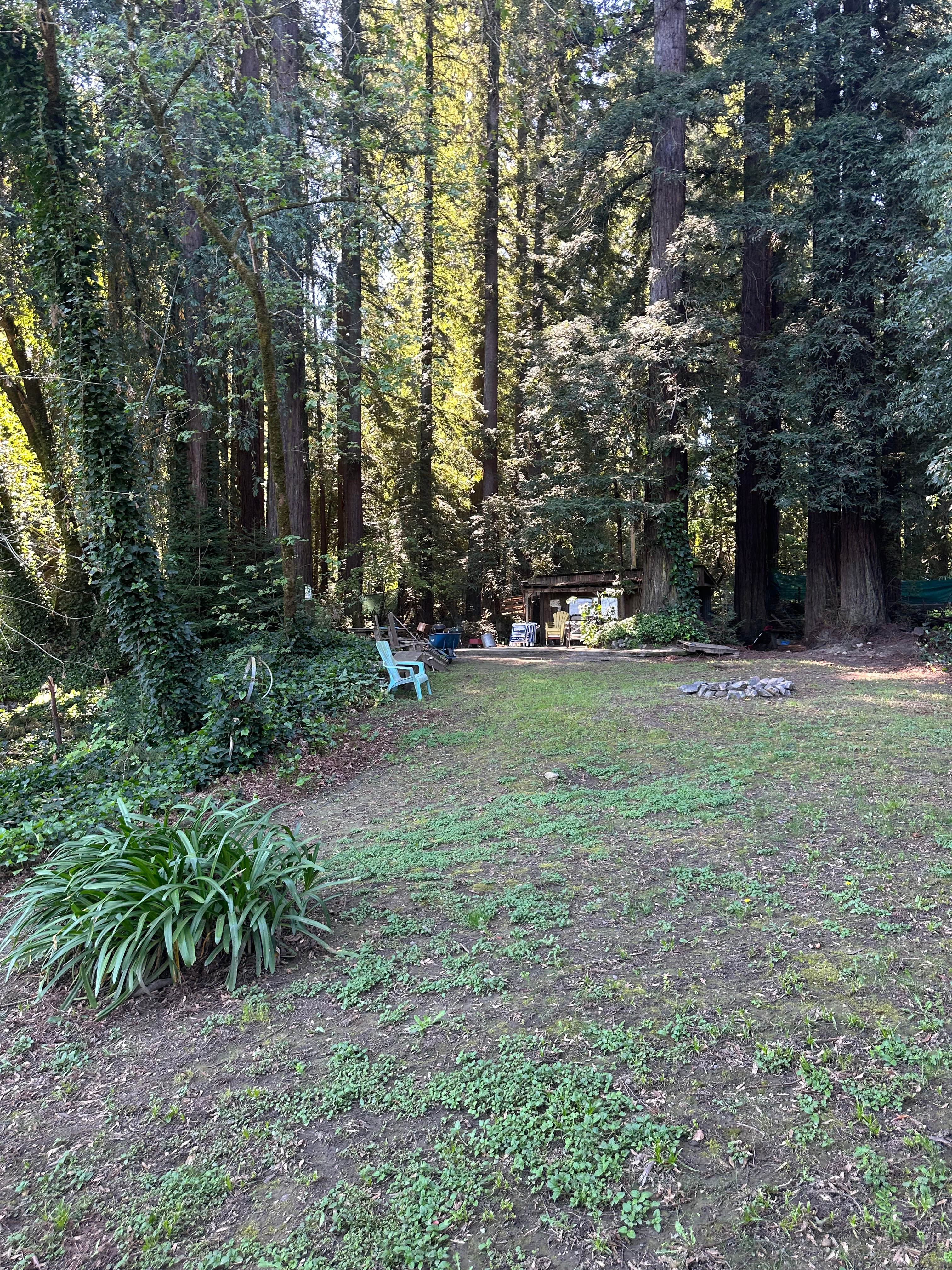 Private Island On The Russian River
