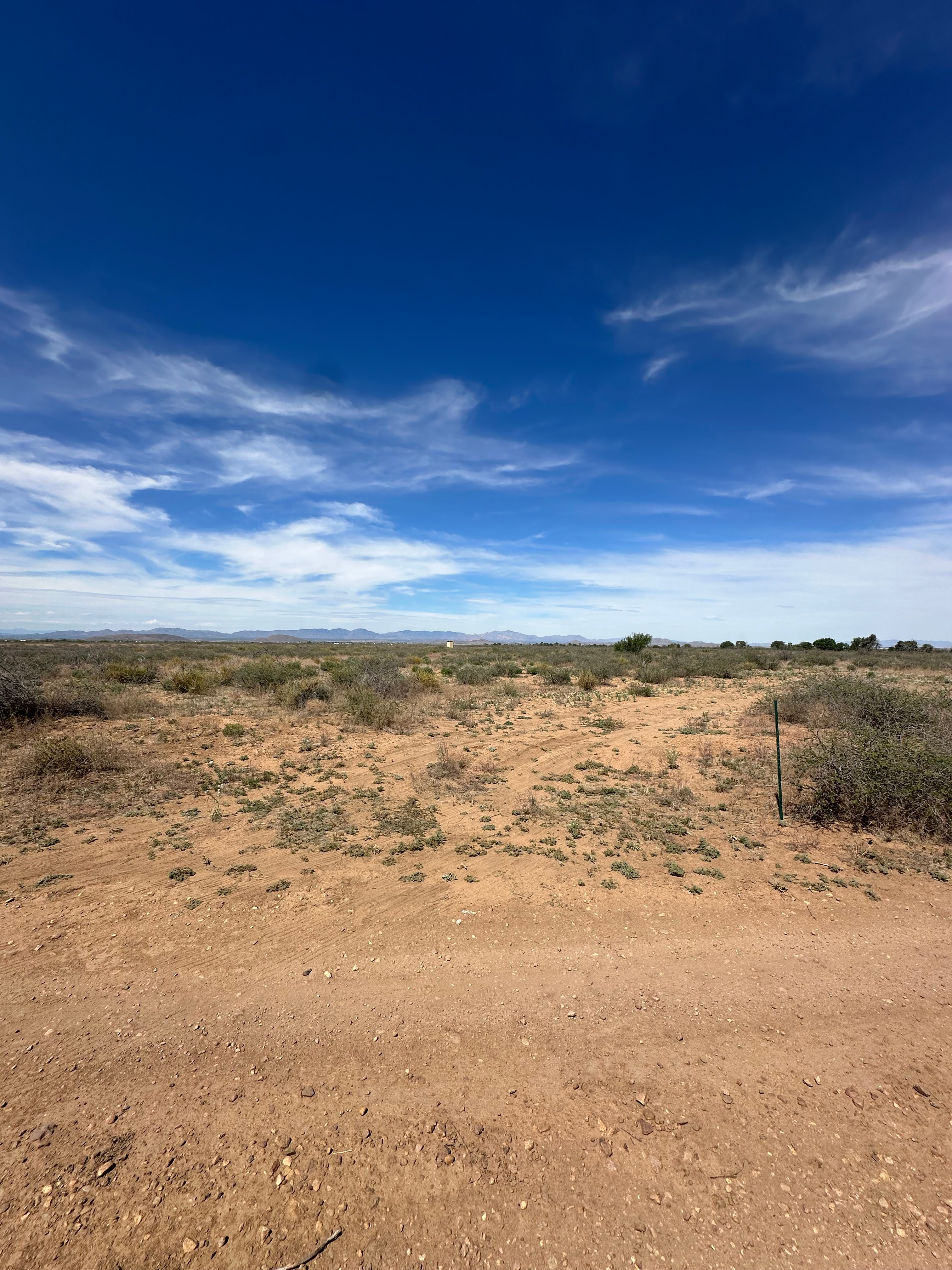 The entrance as seem from the dirt road. You drive towards that tree in the distance. 
