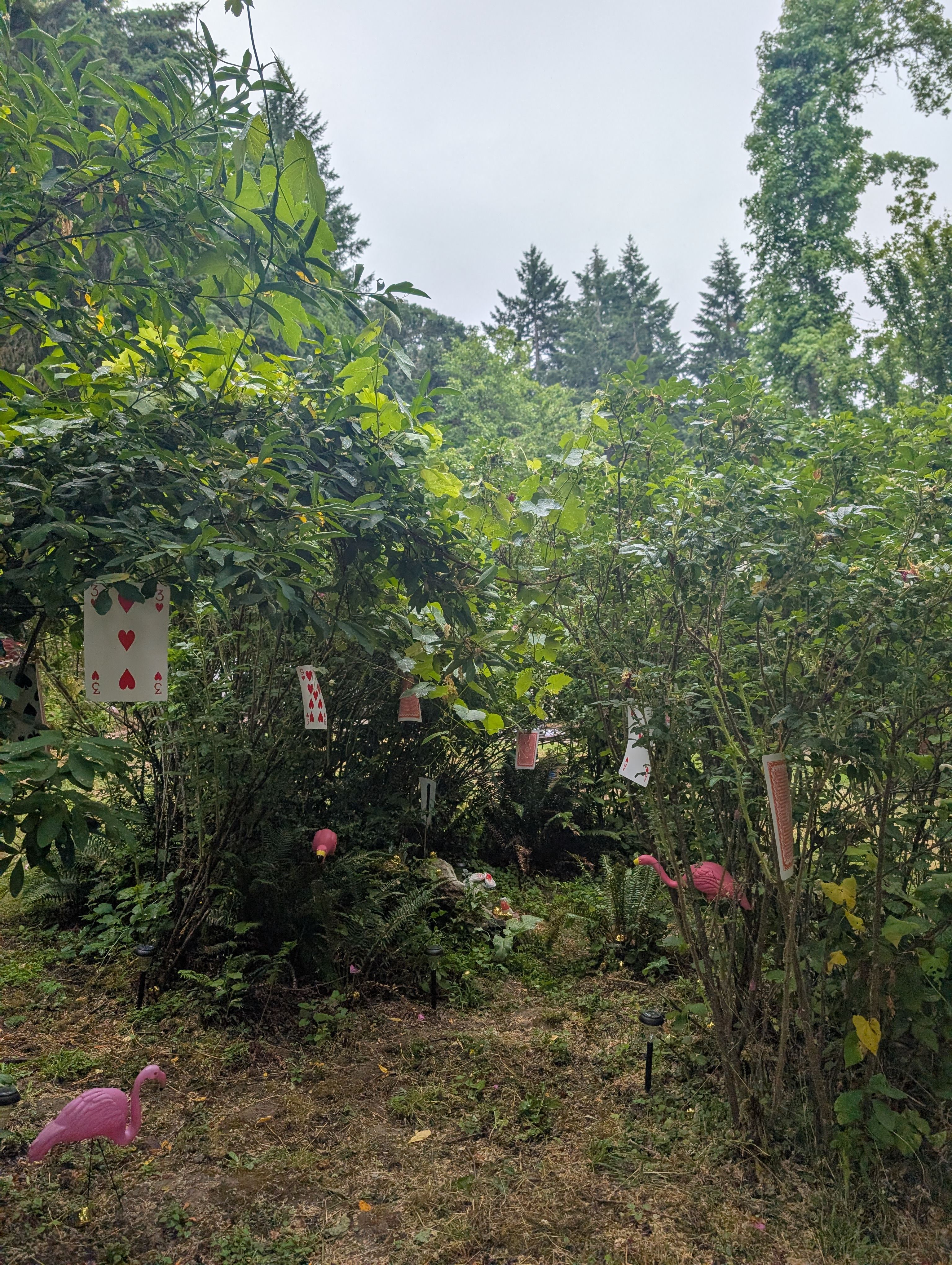 Whimsical Country Tea House & Camp