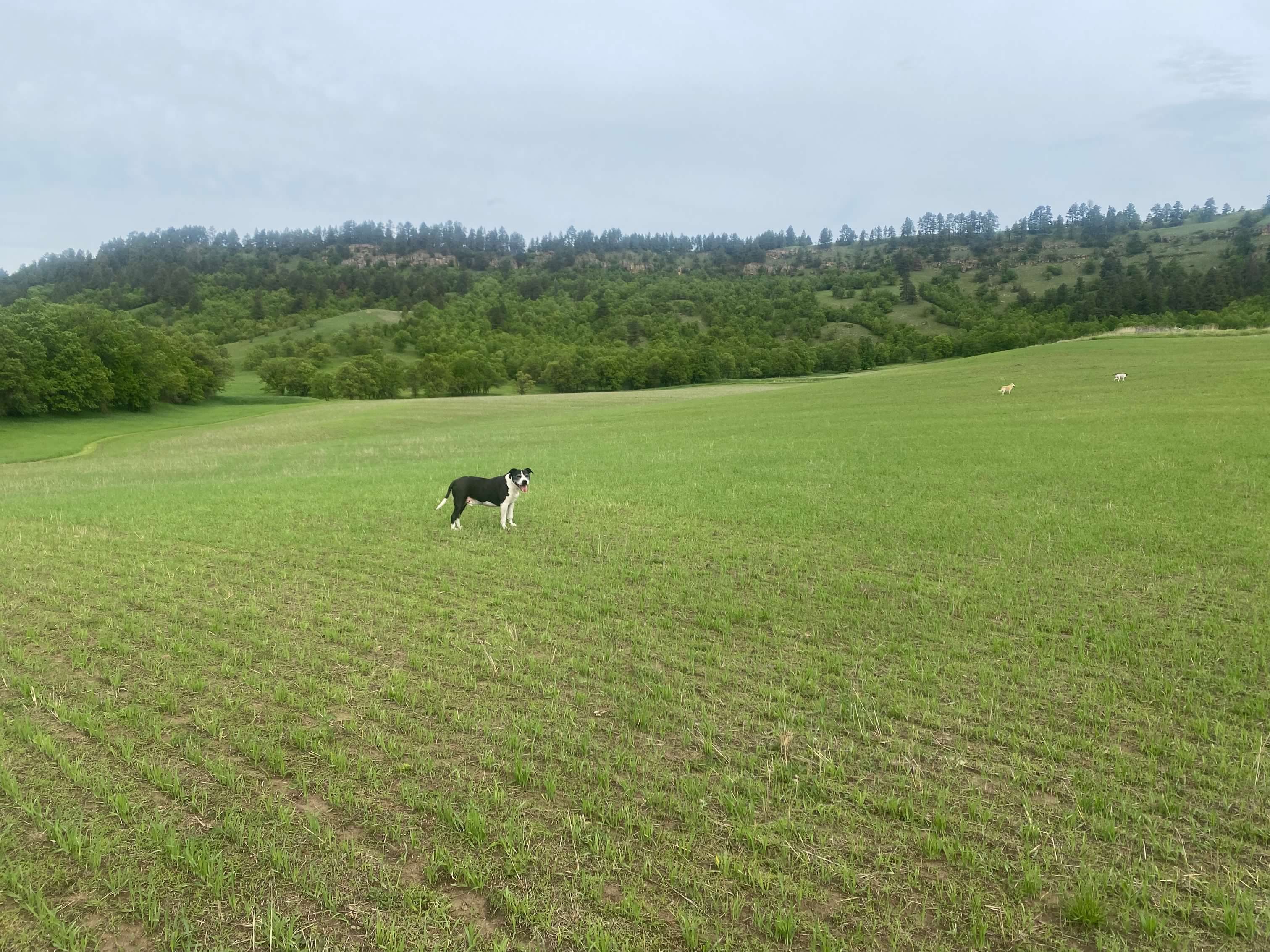 Hidden Acres