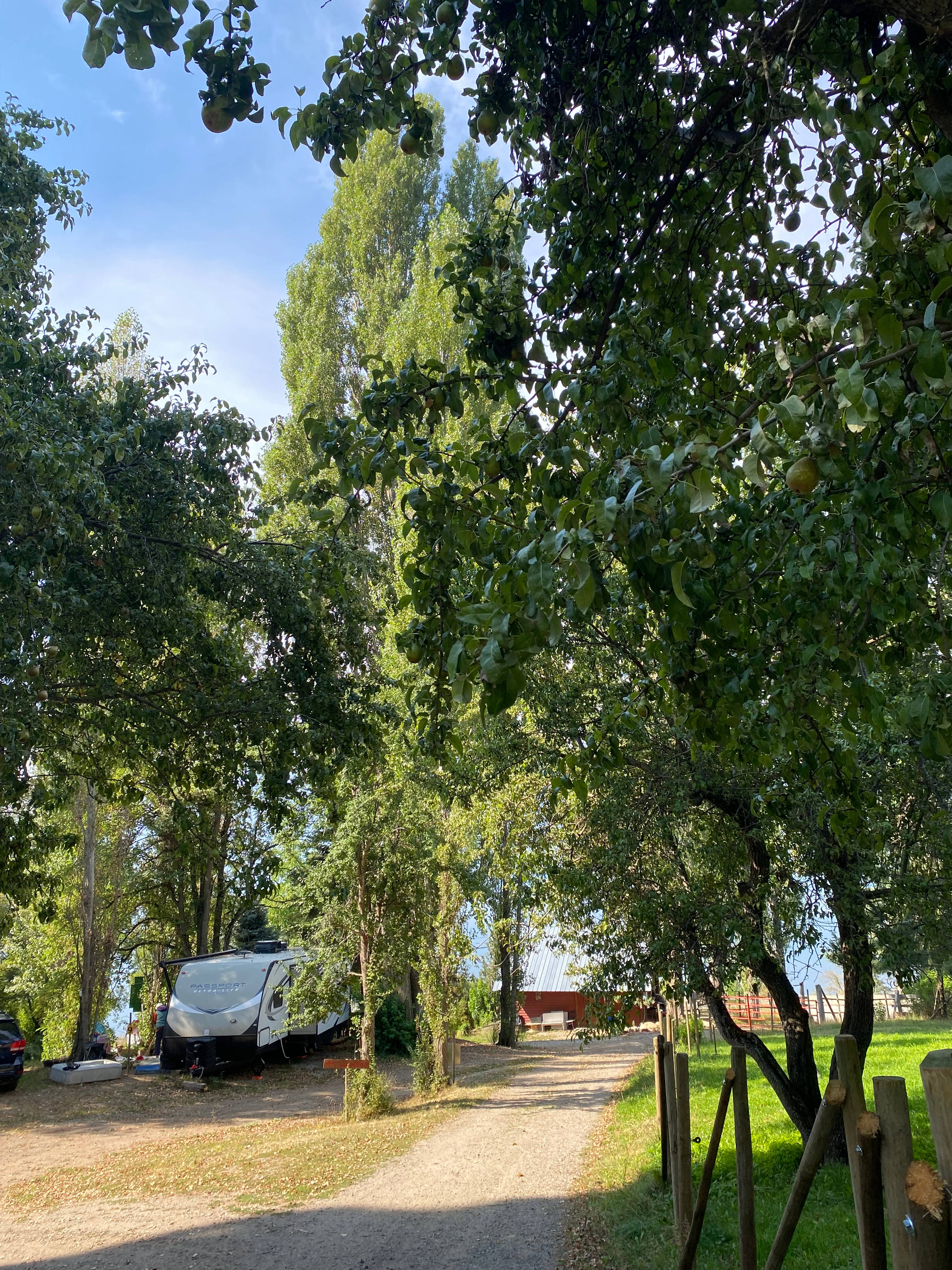 Kootenay Lake Lodge Cabins & RV