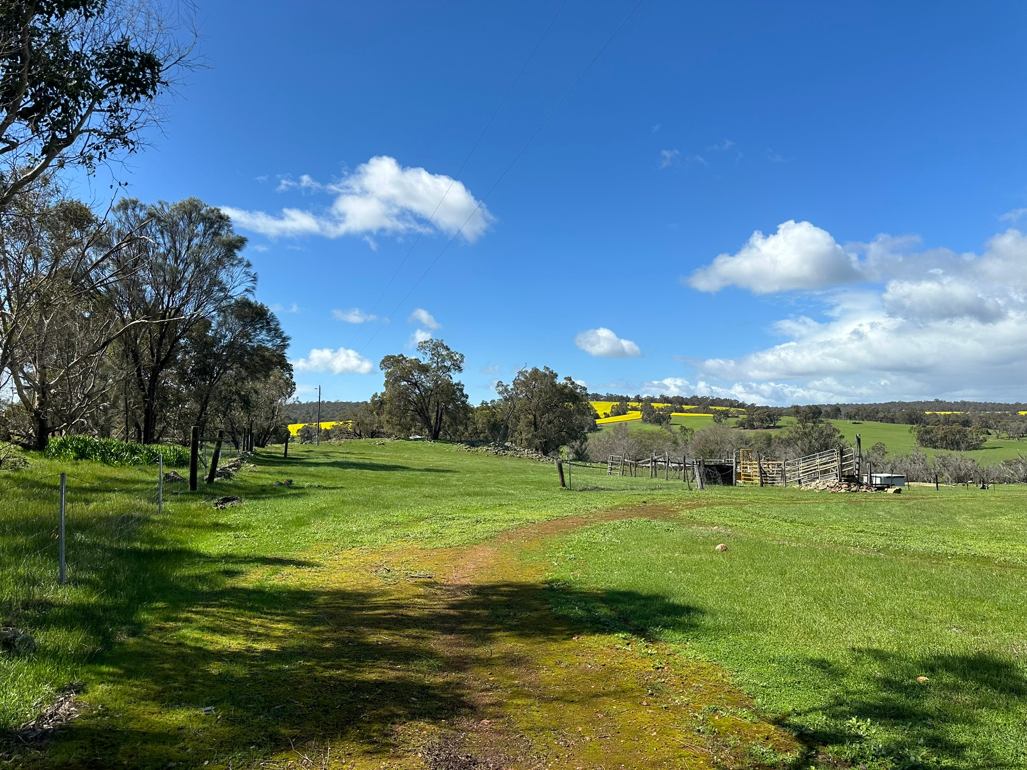 Glendale Estate