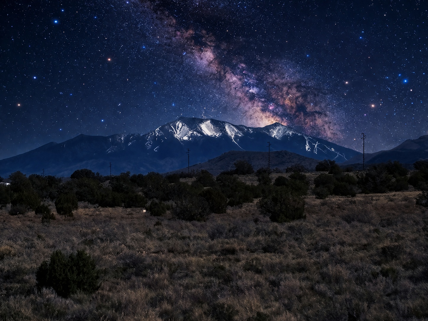 Desert Garden By Grand Canyon