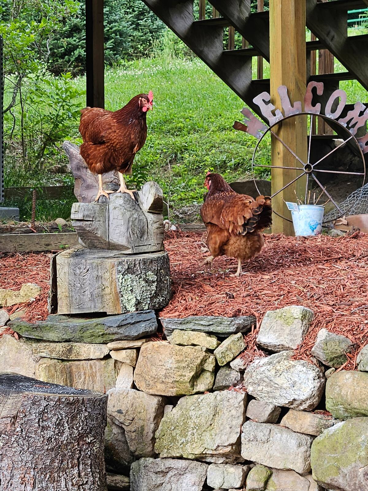 Doe Valley Farm